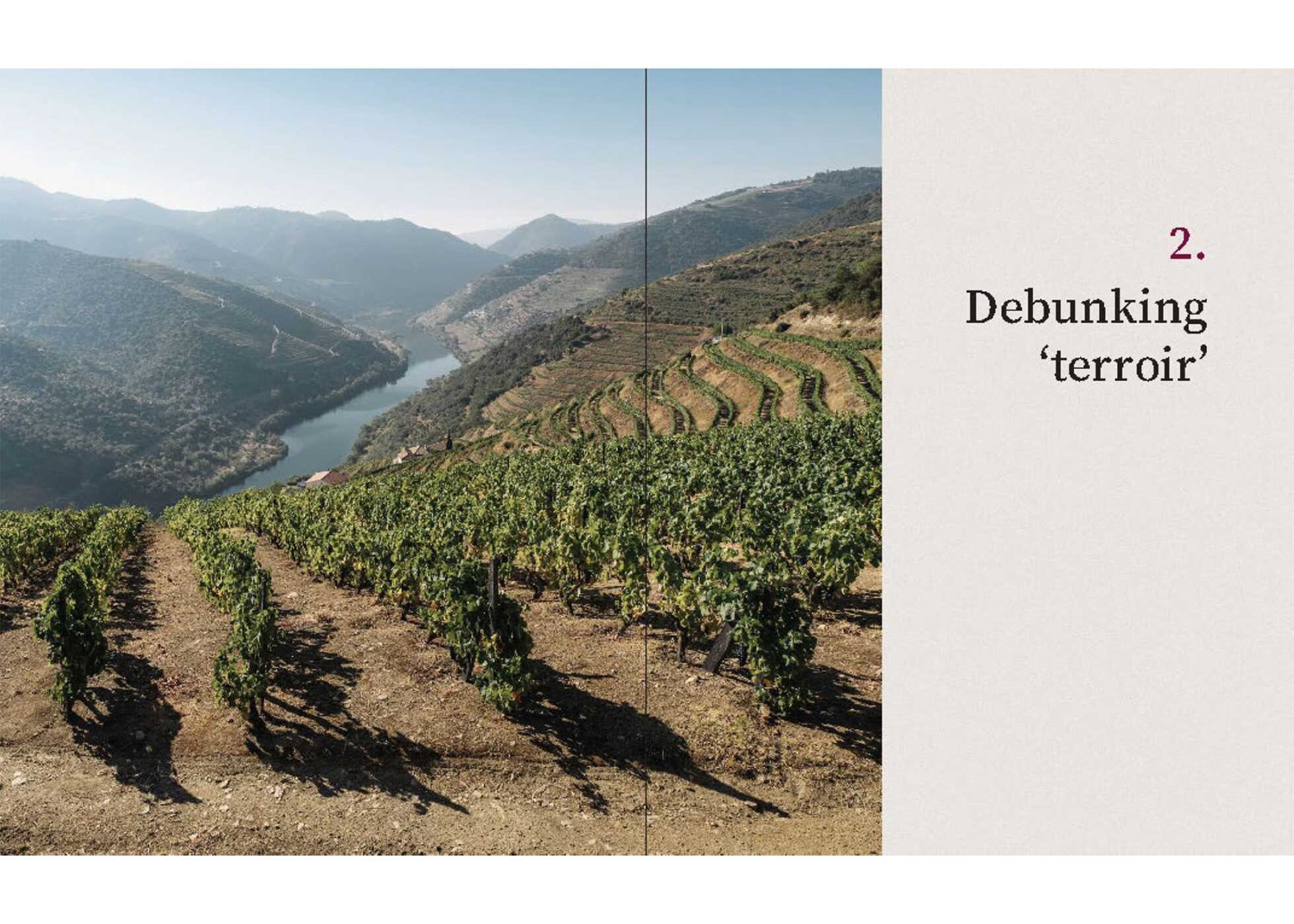 Cynic's Guide to Wine