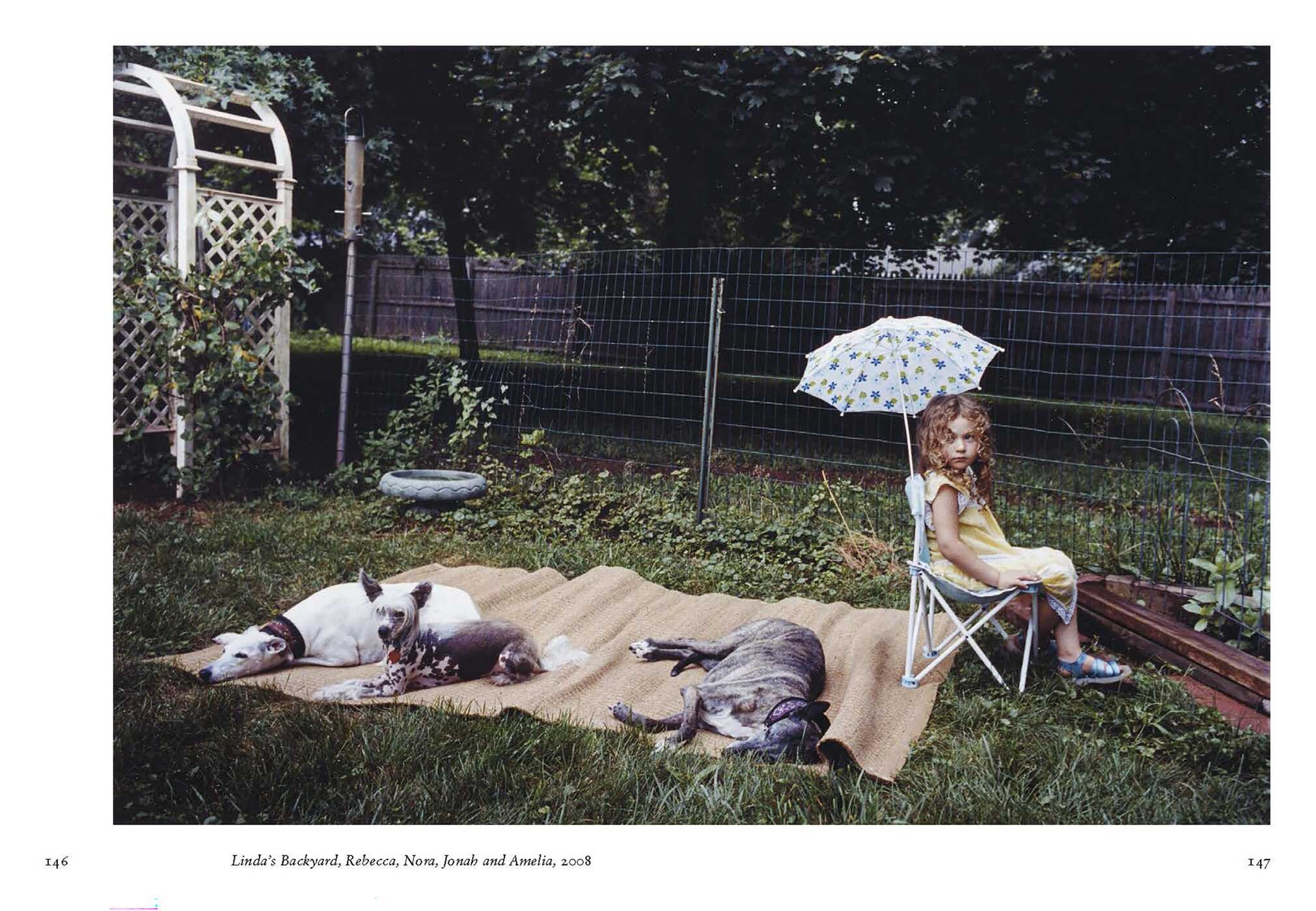 New Photography of the Dog.