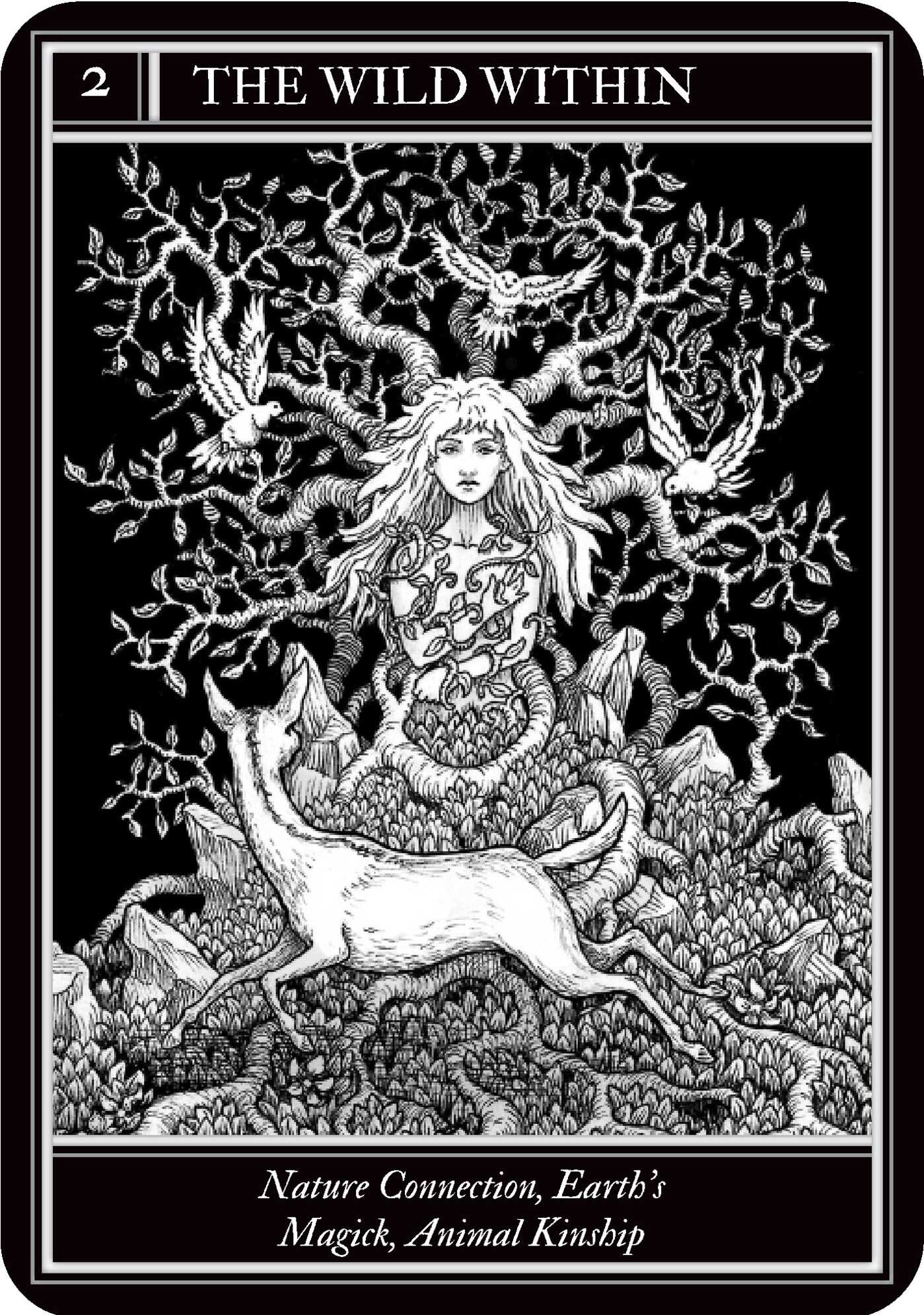Coven Oracle