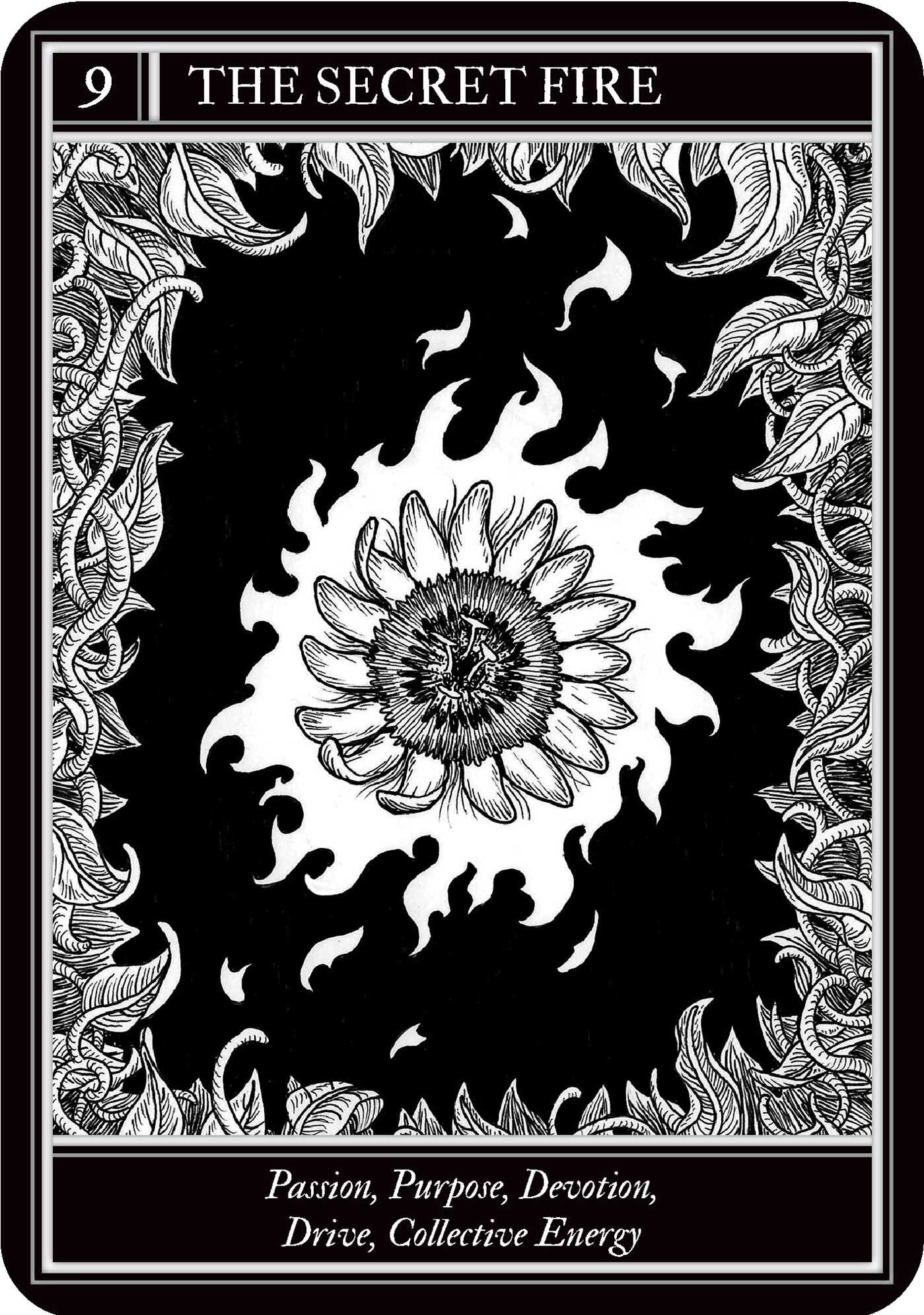Coven Oracle
