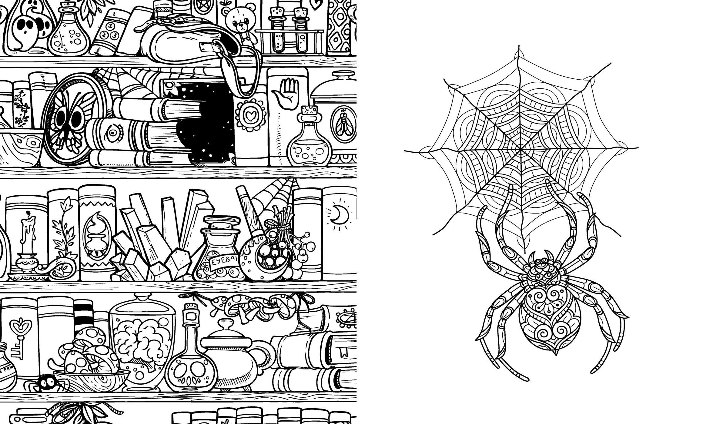 Dark Academia Coloring Book