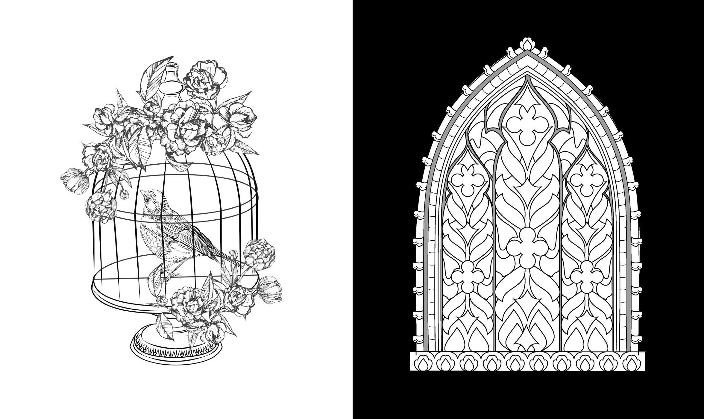 Dark Academia Coloring Book