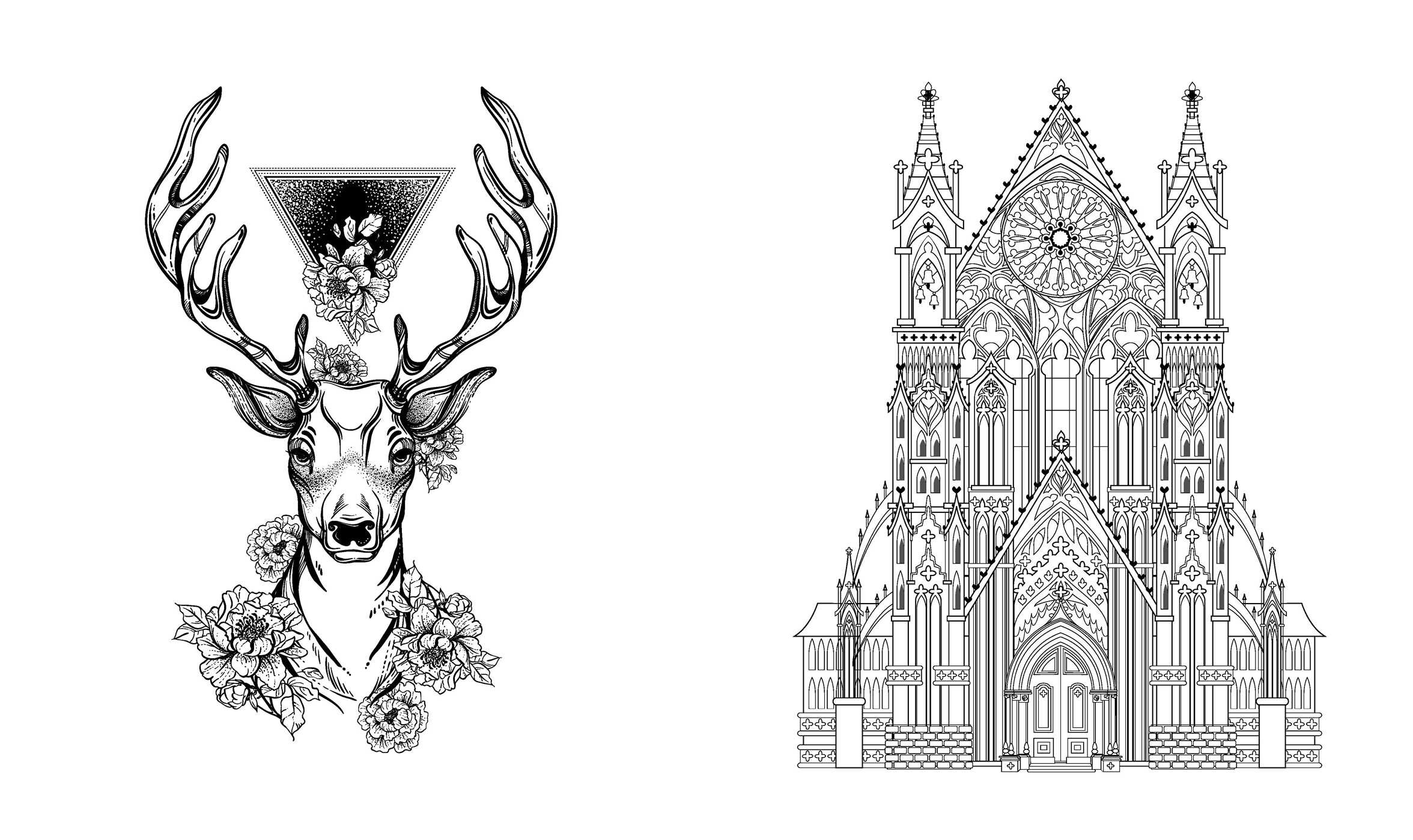 Dark Academia Coloring Book