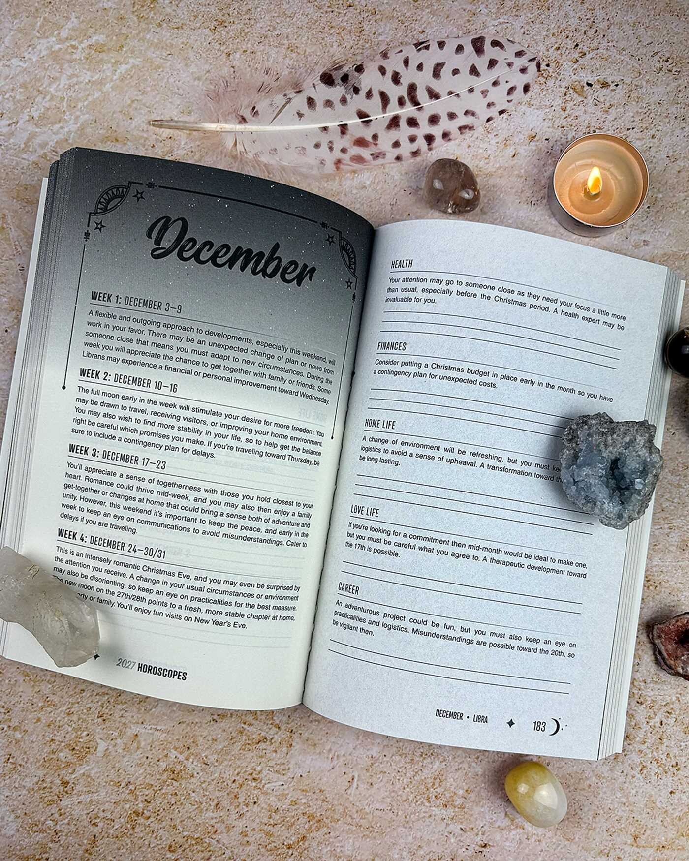 2027 Horoscopes Planner Calendar