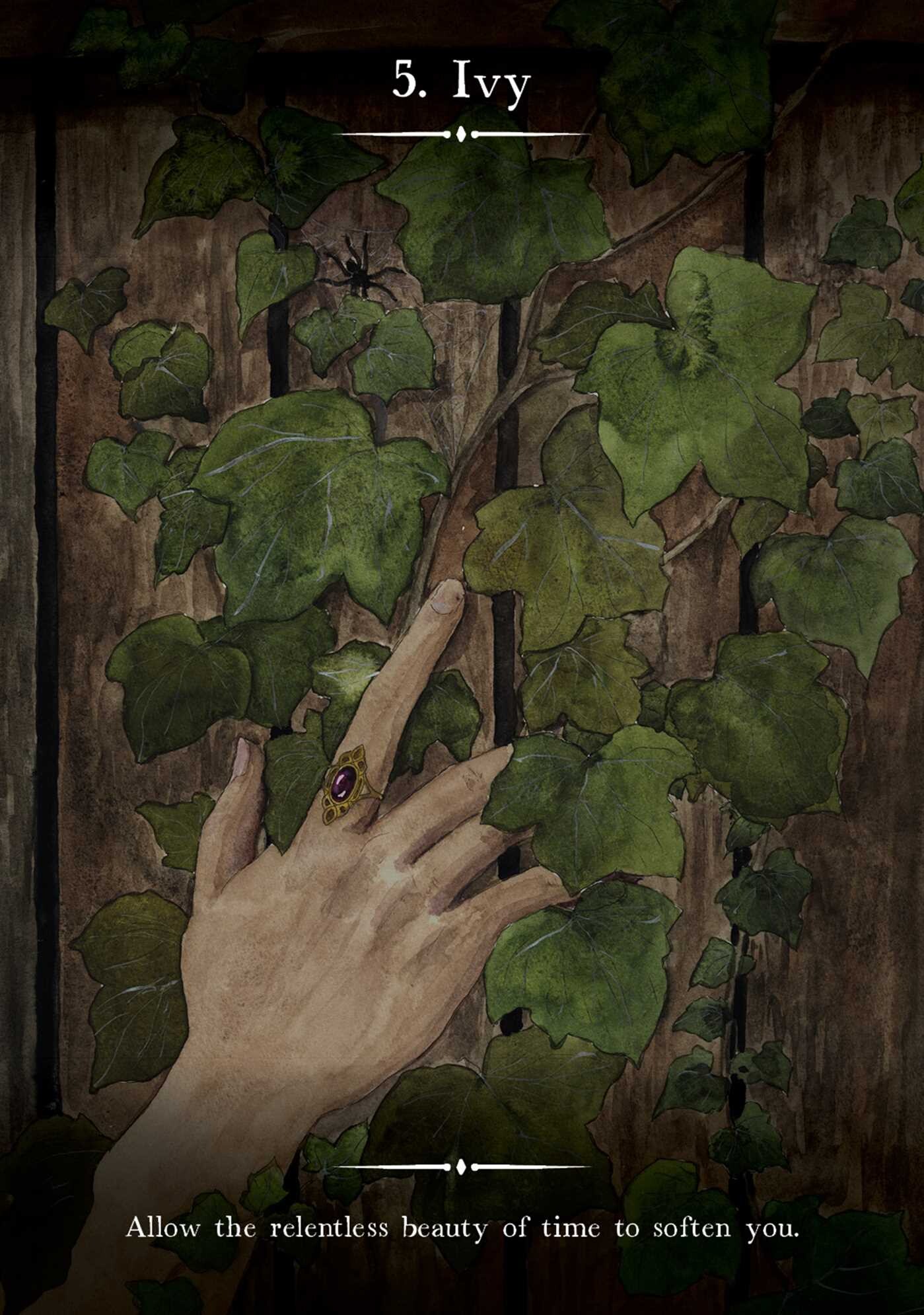 Witch's Homestead Oracle