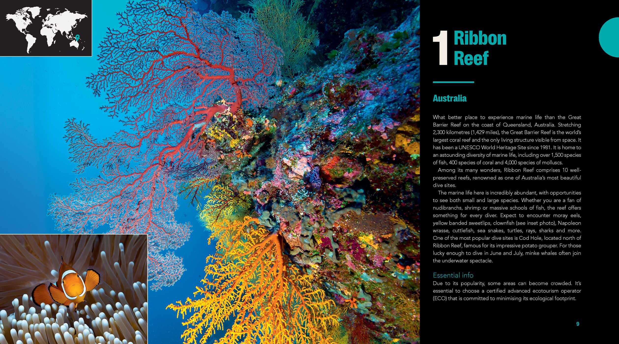 Great Diving Spots - World