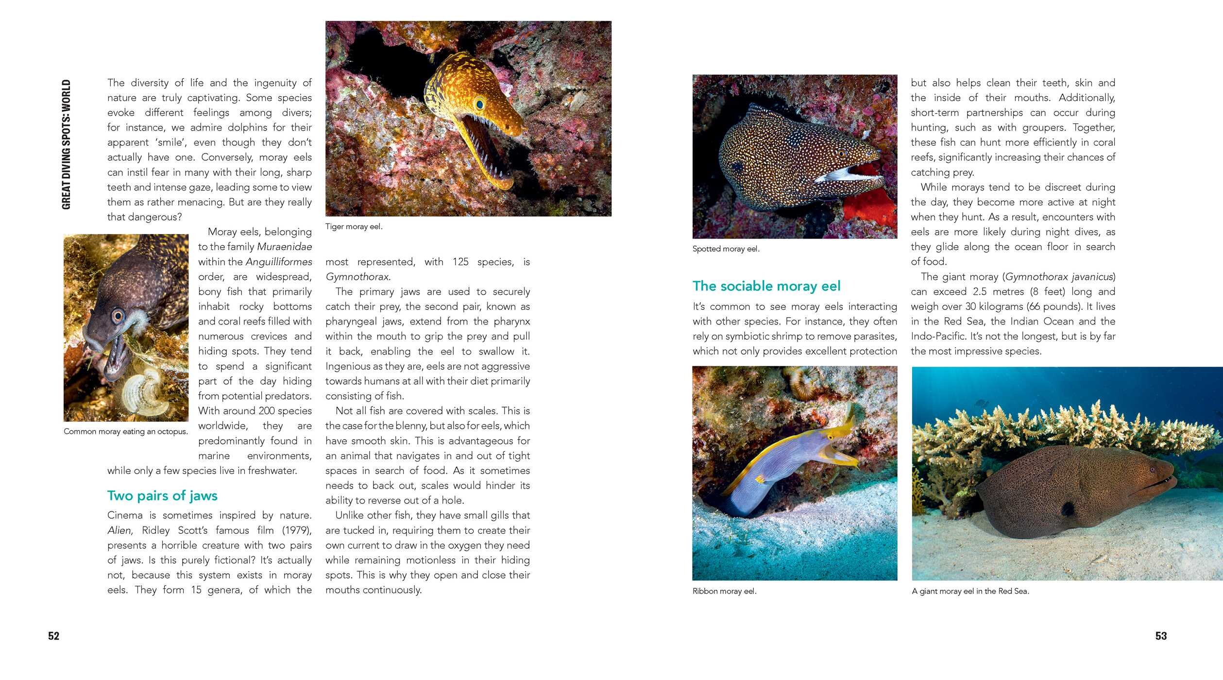 Great Diving Spots - World