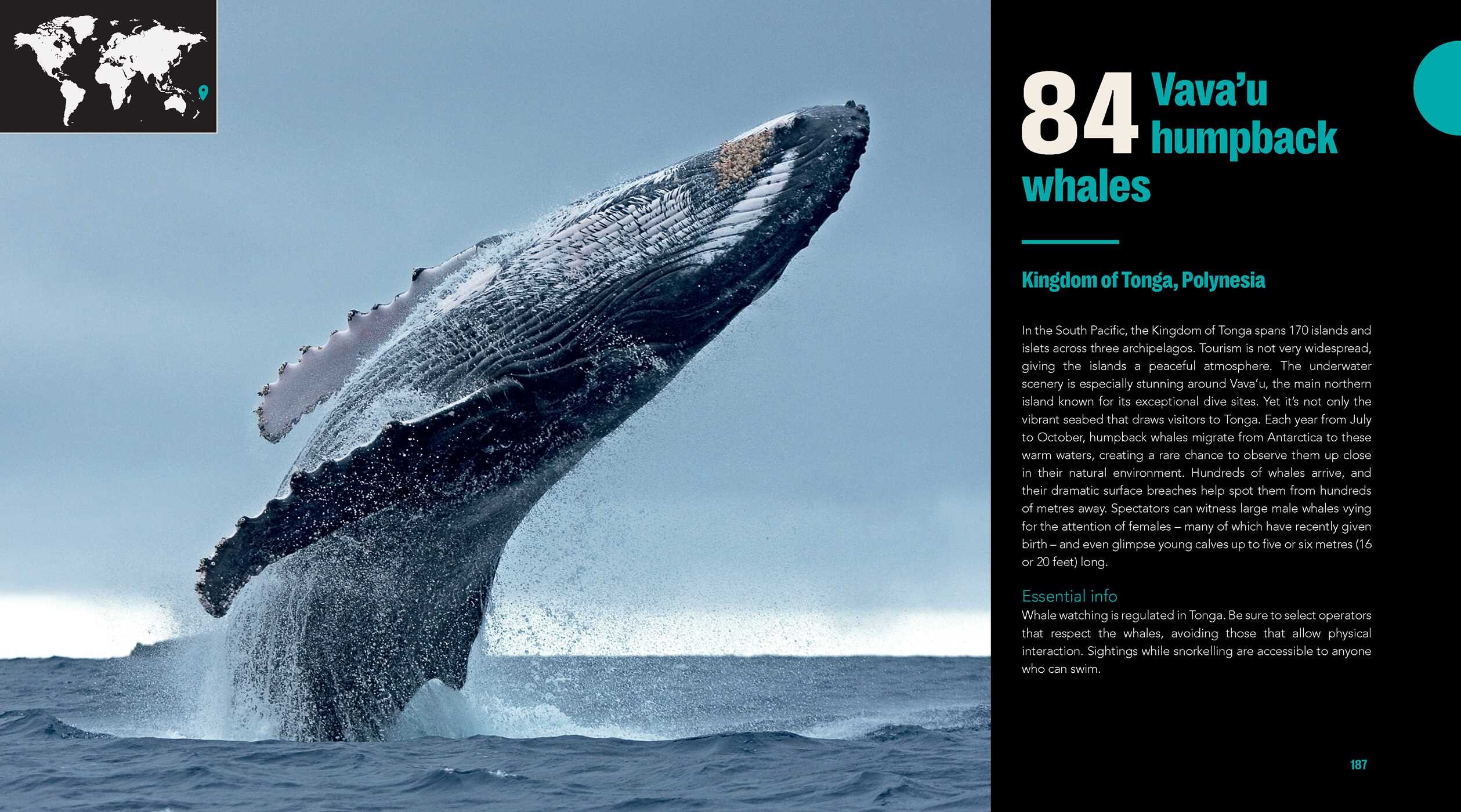 Great Diving Spots - World