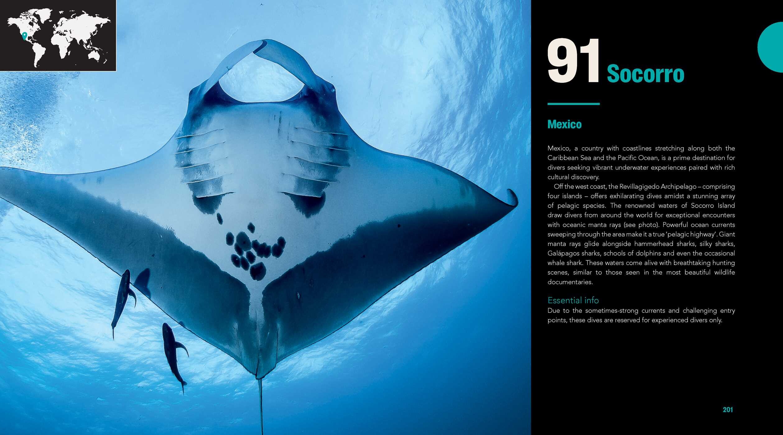 Great Diving Spots - World