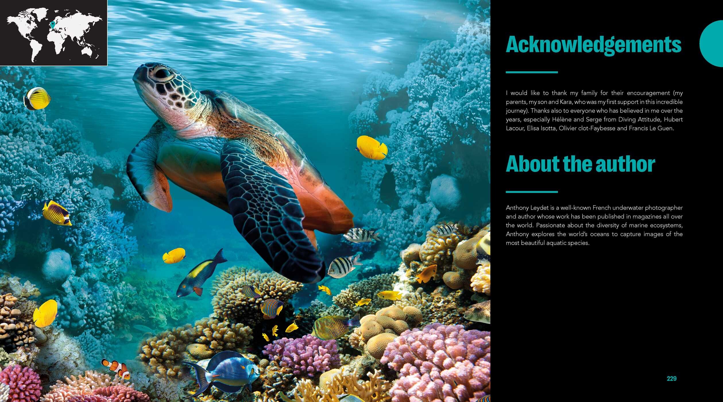 Great Diving Spots - World