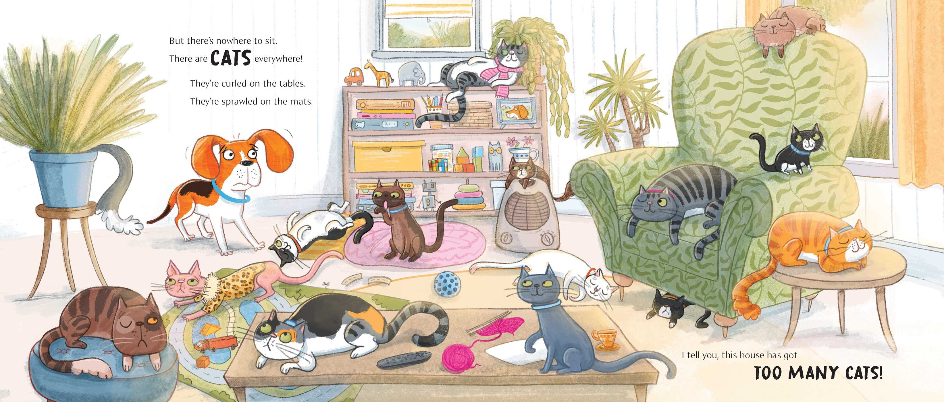 Too Many Cats!