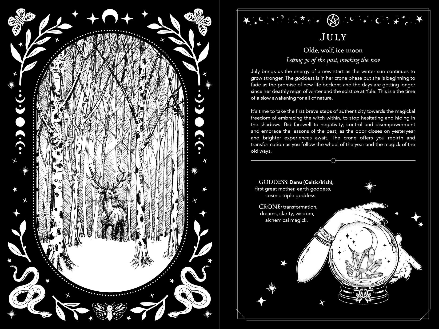 2026 Witch's Diary Southern Hemisphere Book by Flavia Kate Peters
