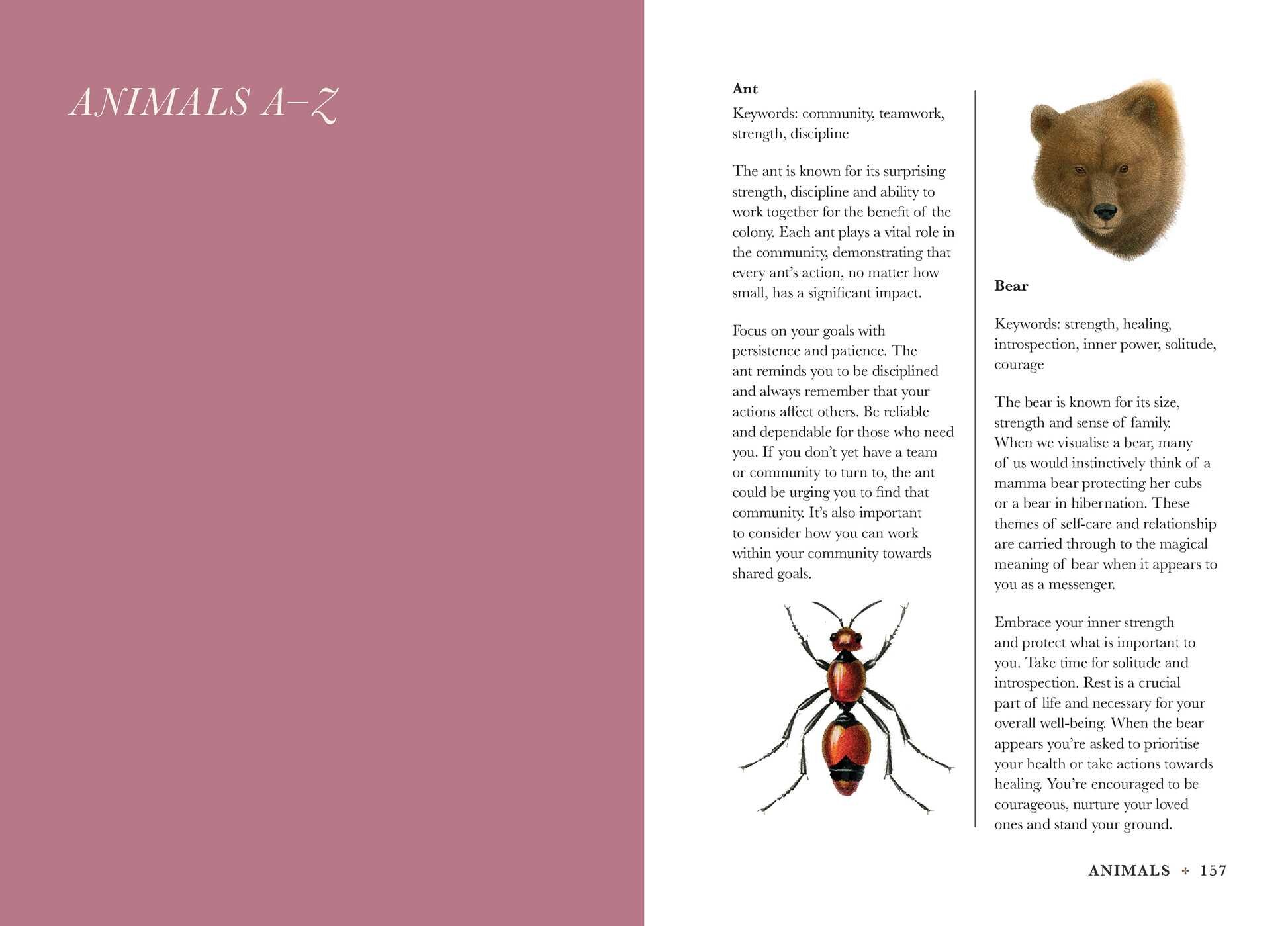 A Practical Guide to Magic in Nature