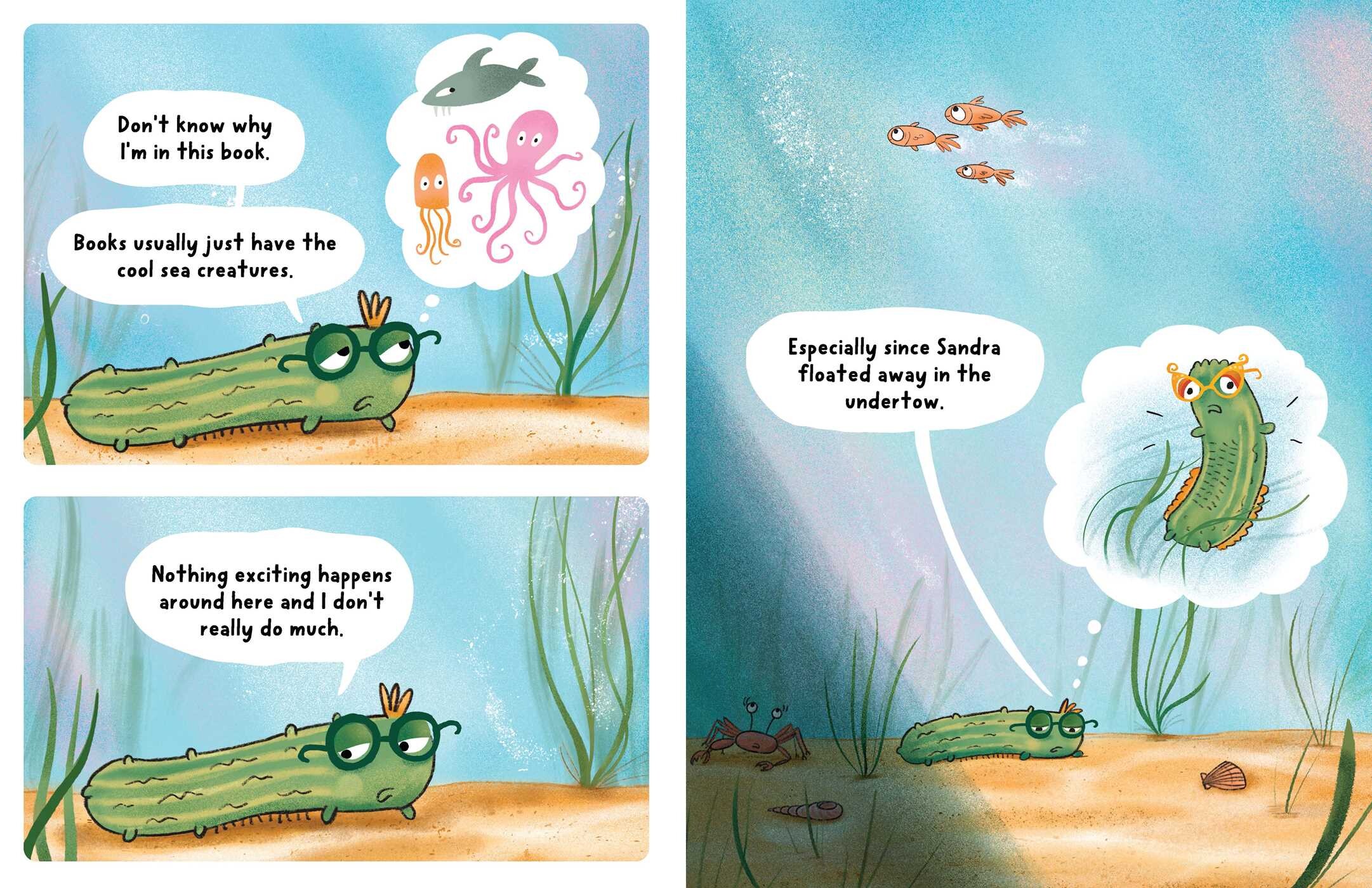 Neil, The Amazing Sea Cucumber