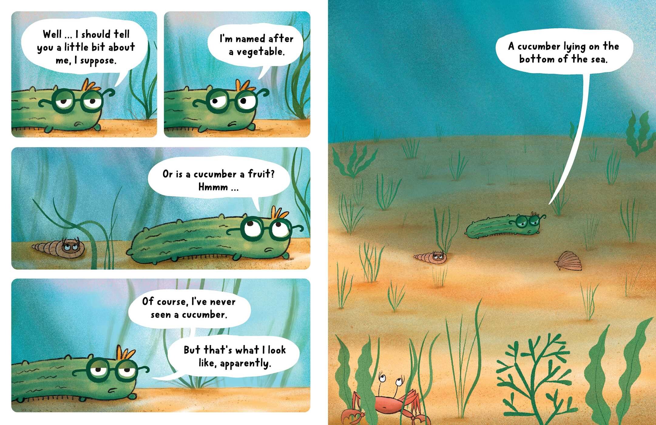 Neil, The Amazing Sea Cucumber