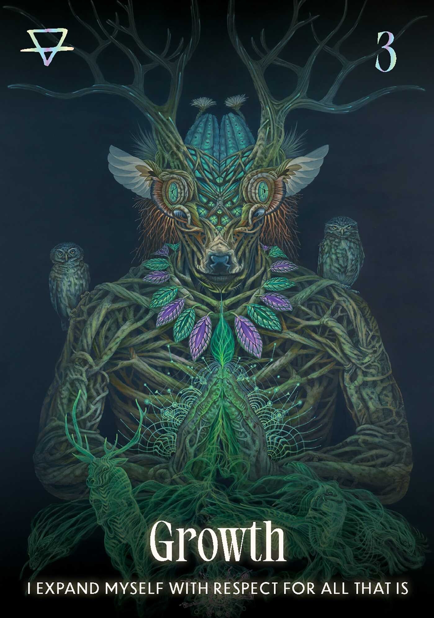 Shamanic Oracle
