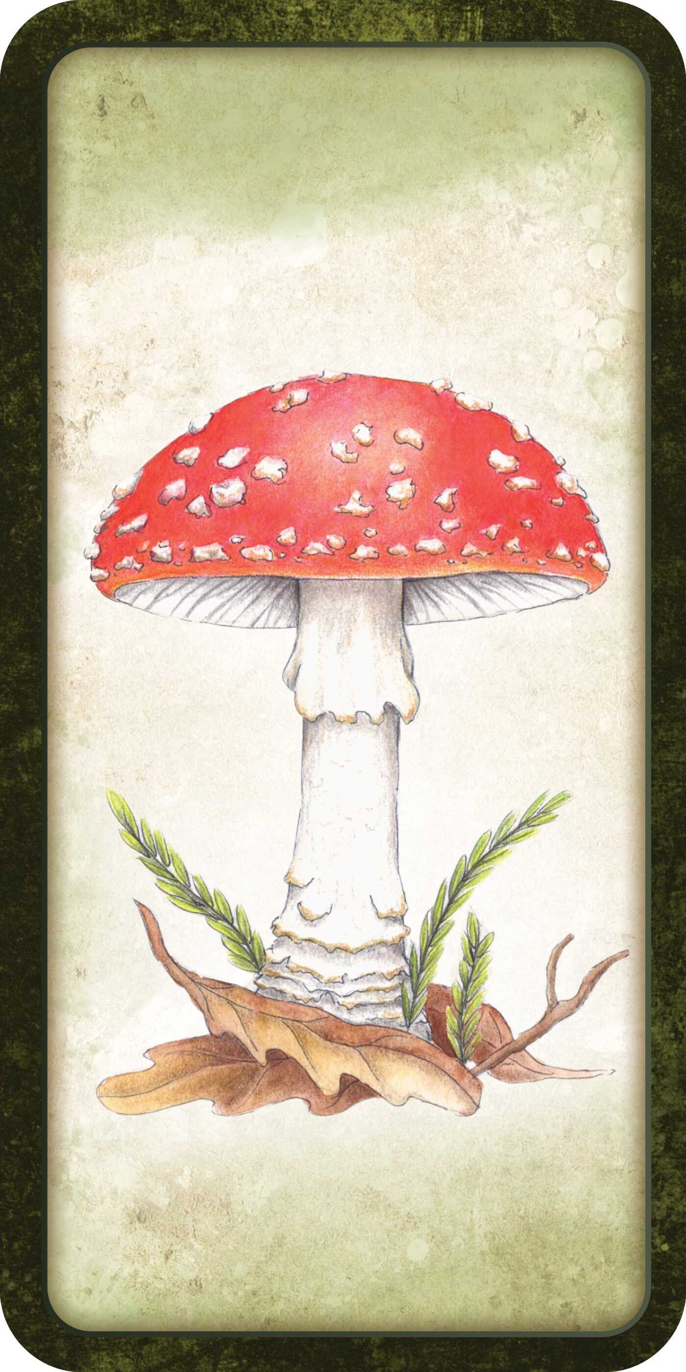 Mushroom Affirmations