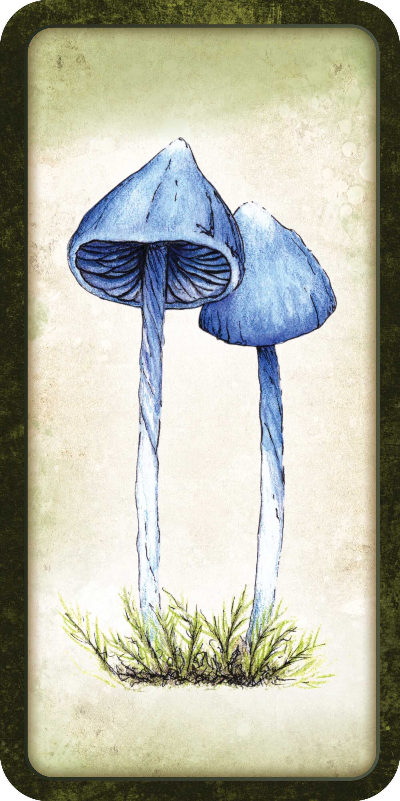 Mushroom Affirmations