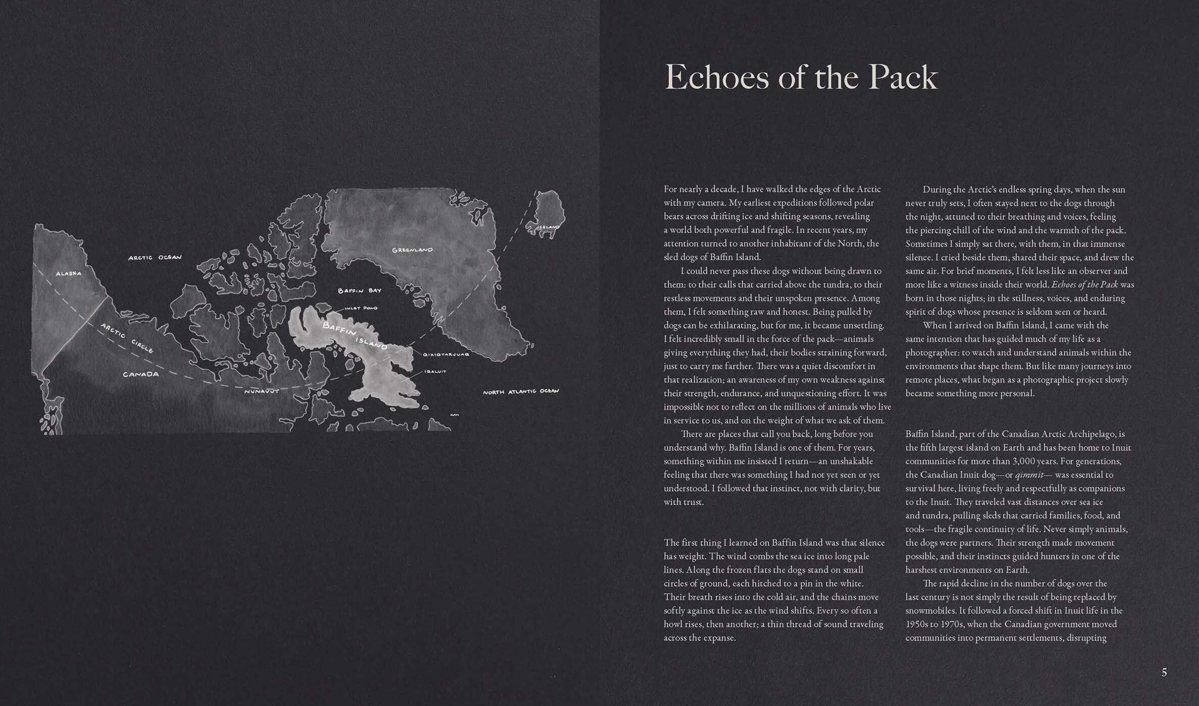 Echoes of the Pack