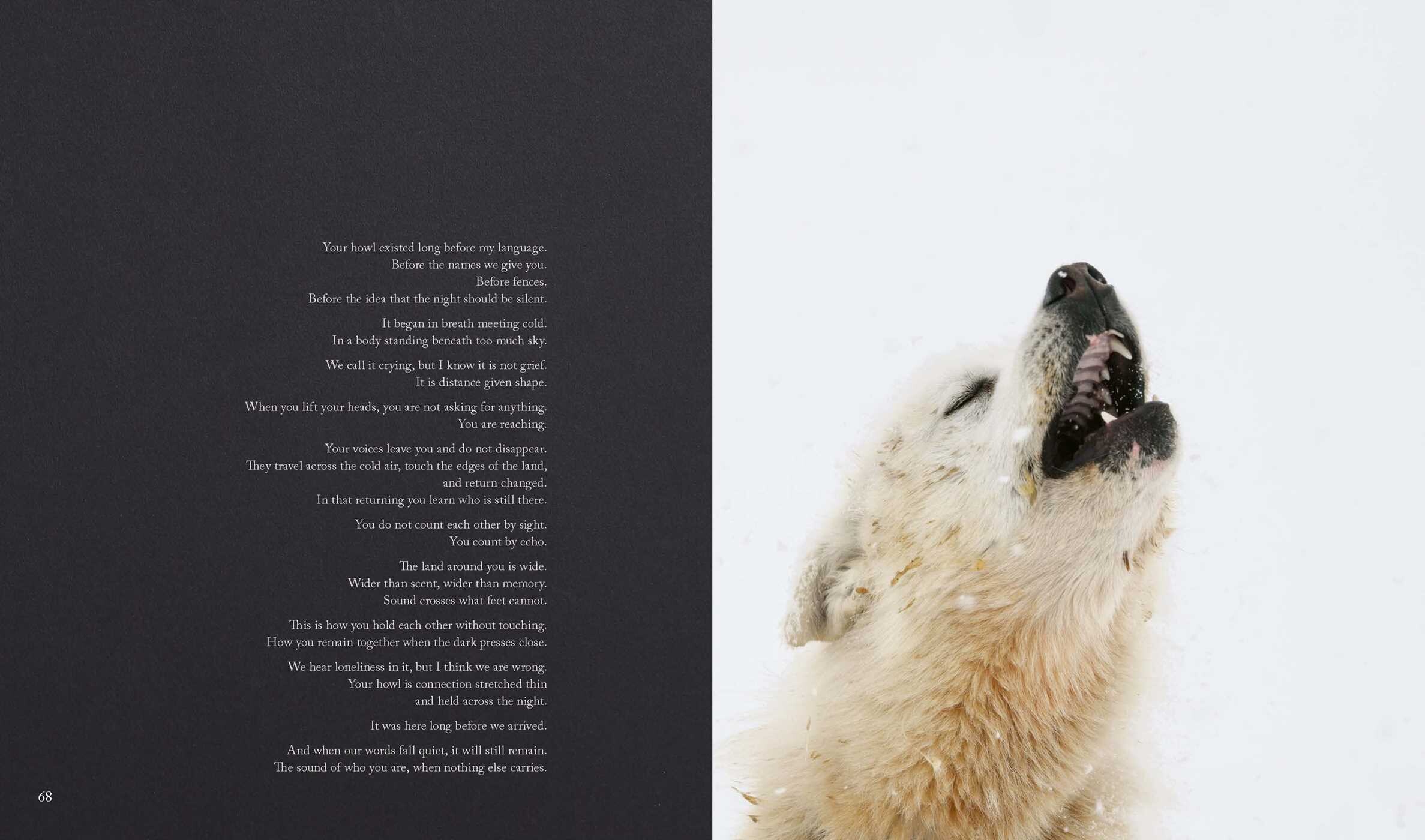 Echoes of the Pack