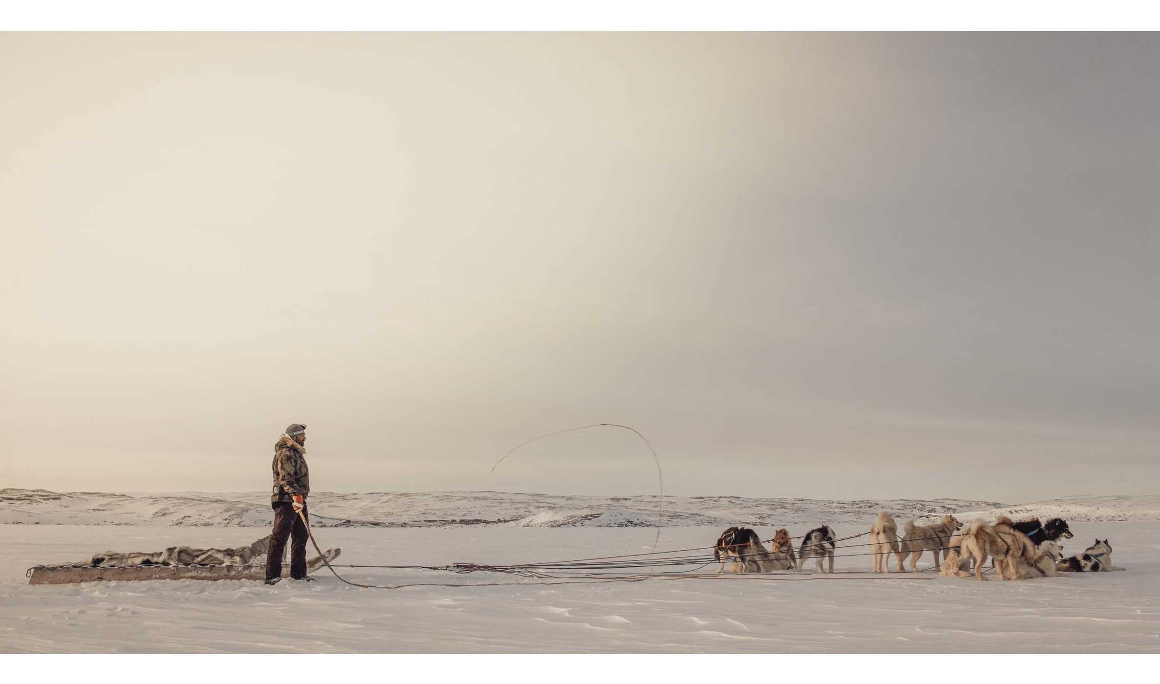Echoes of the Pack