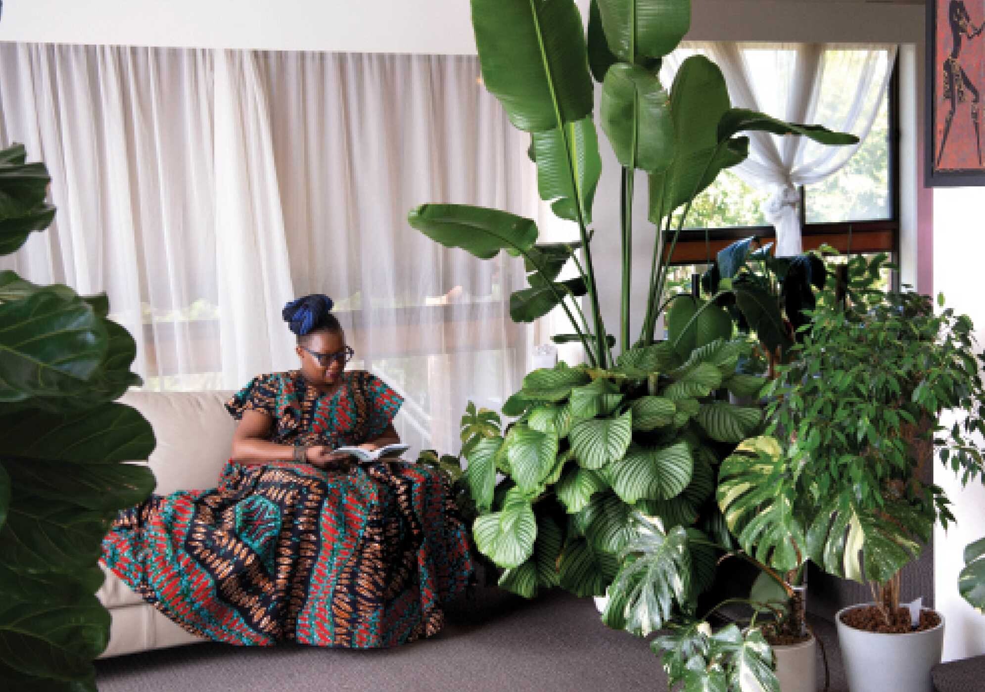 Plant Parenting for Busy People