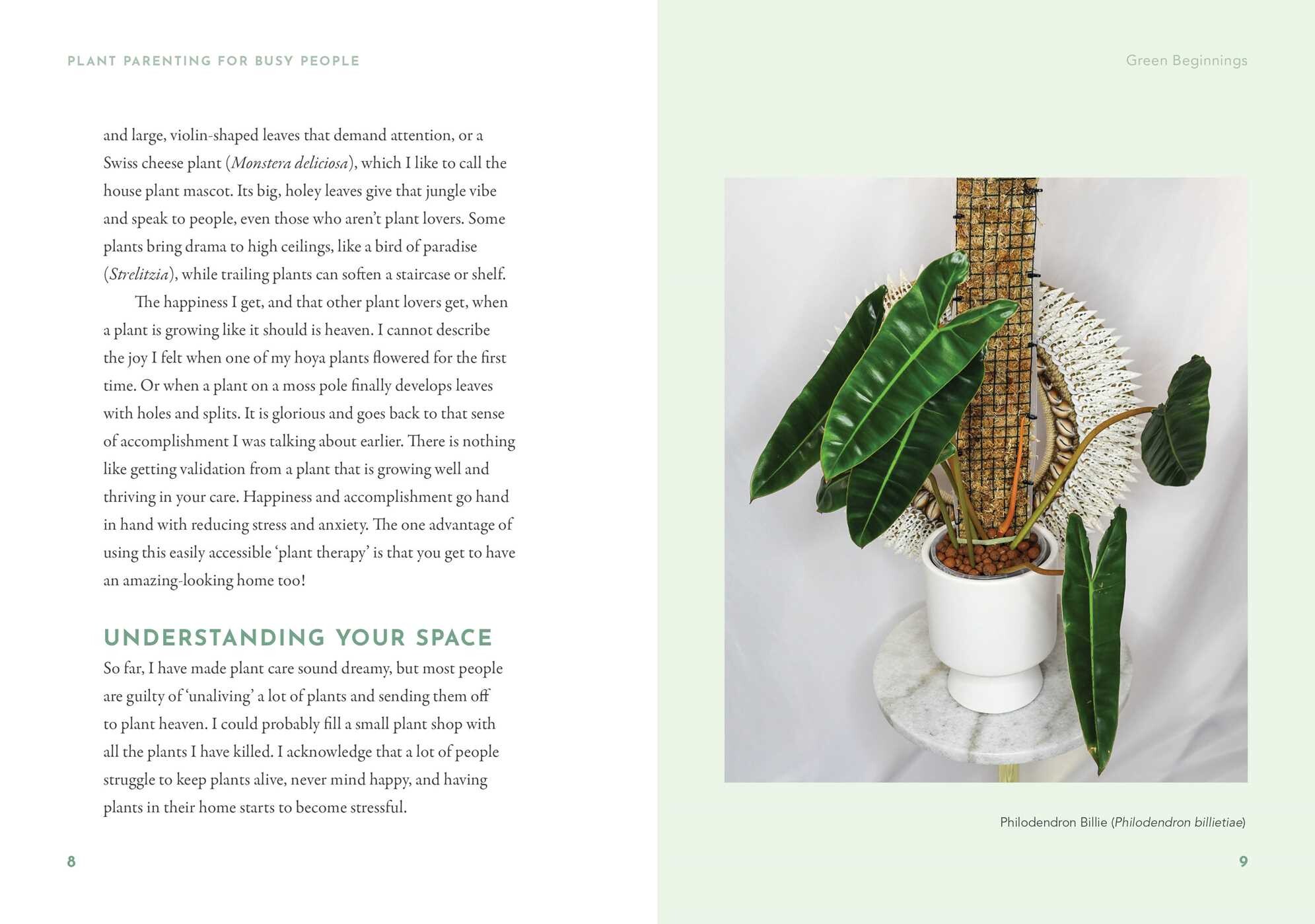 Plant Parenting for Busy People