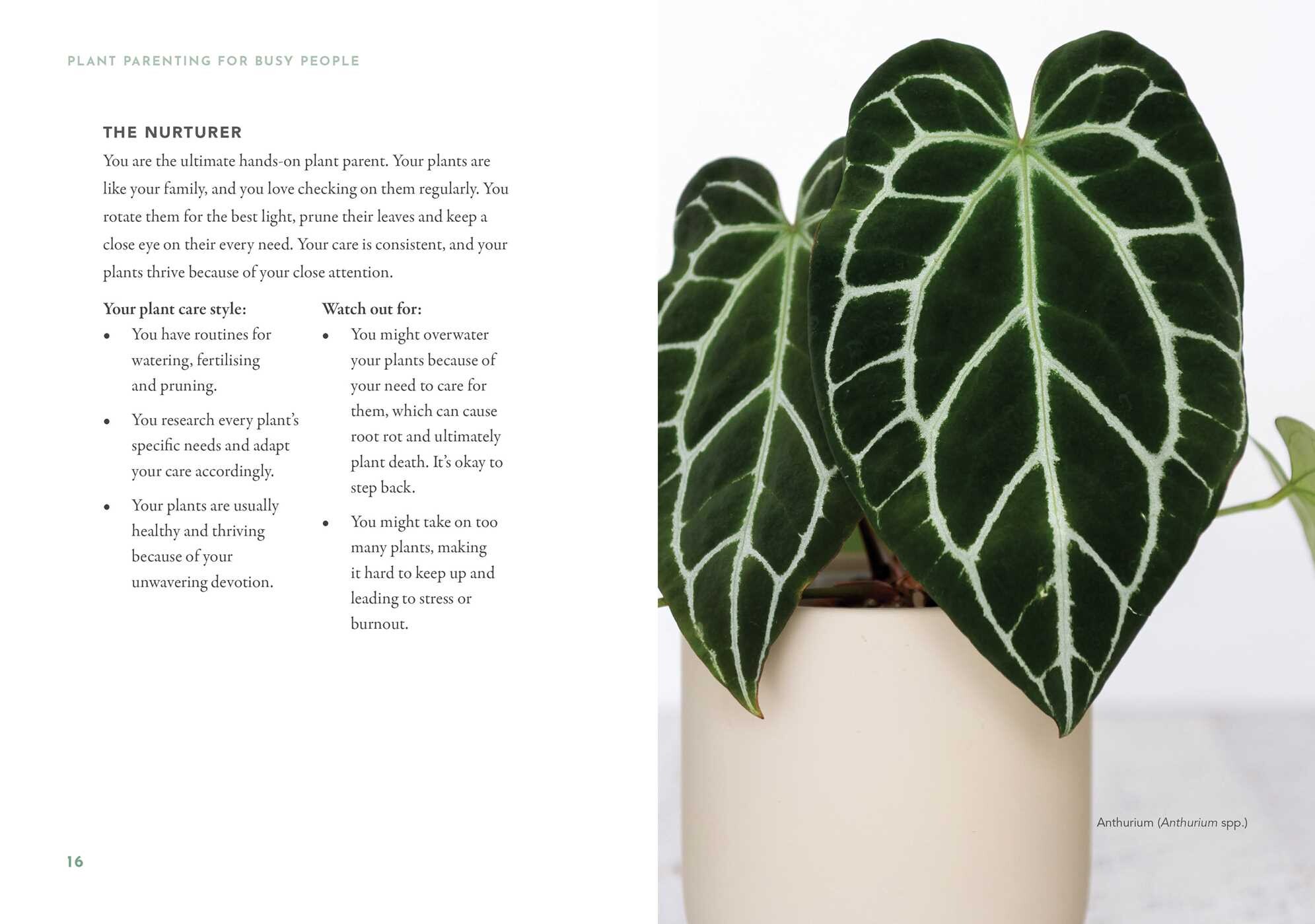 Plant Parenting for Busy People