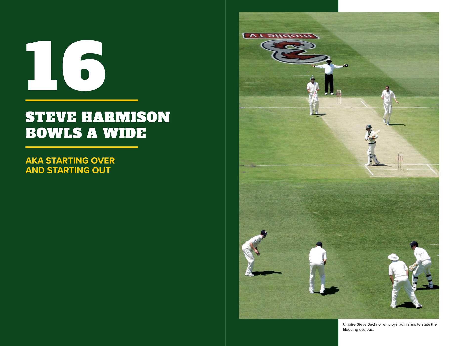 50 Most Ridiculous Ashes Moments