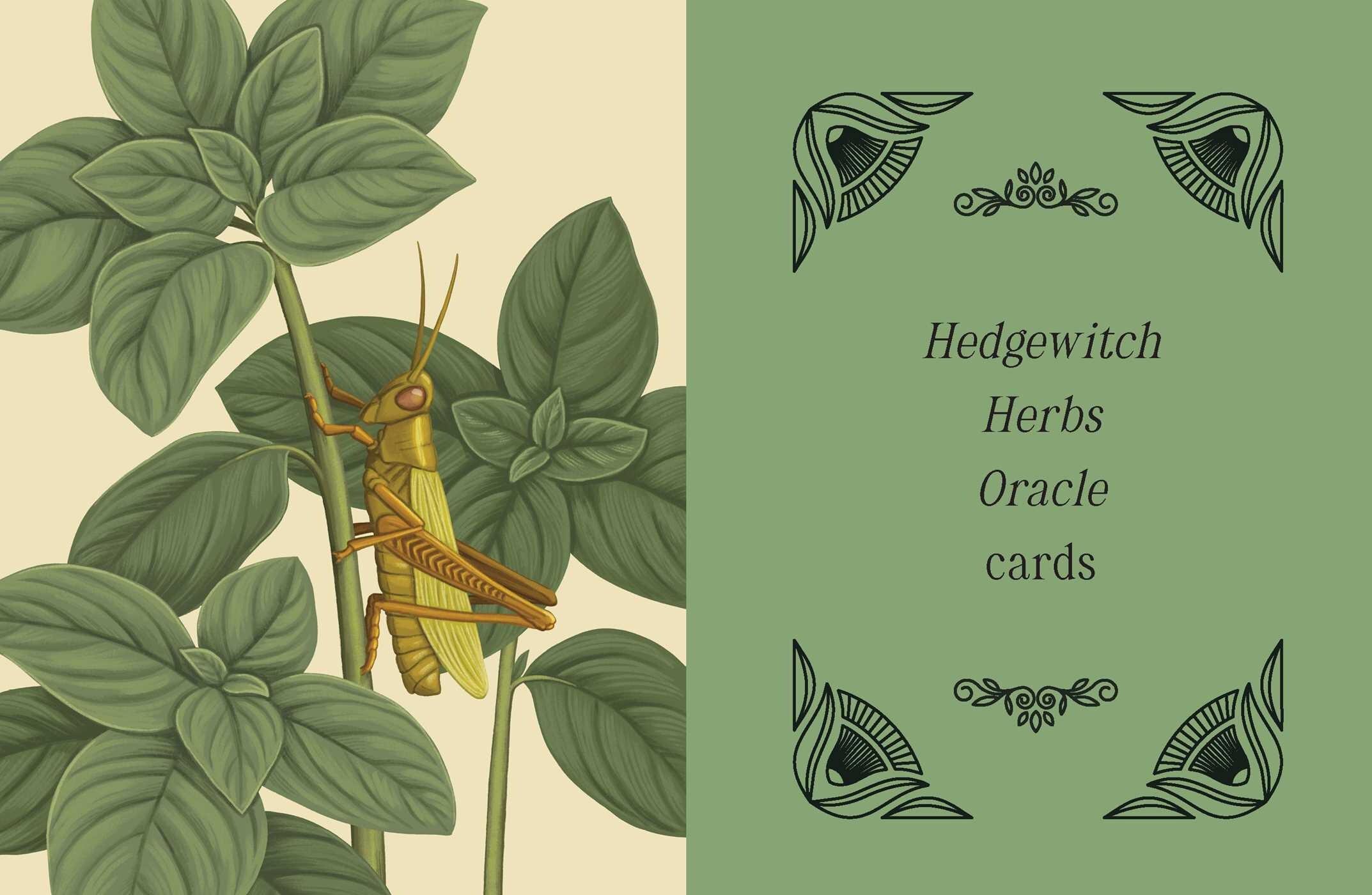 Kate Forsyth's Hedgewitch Oracle