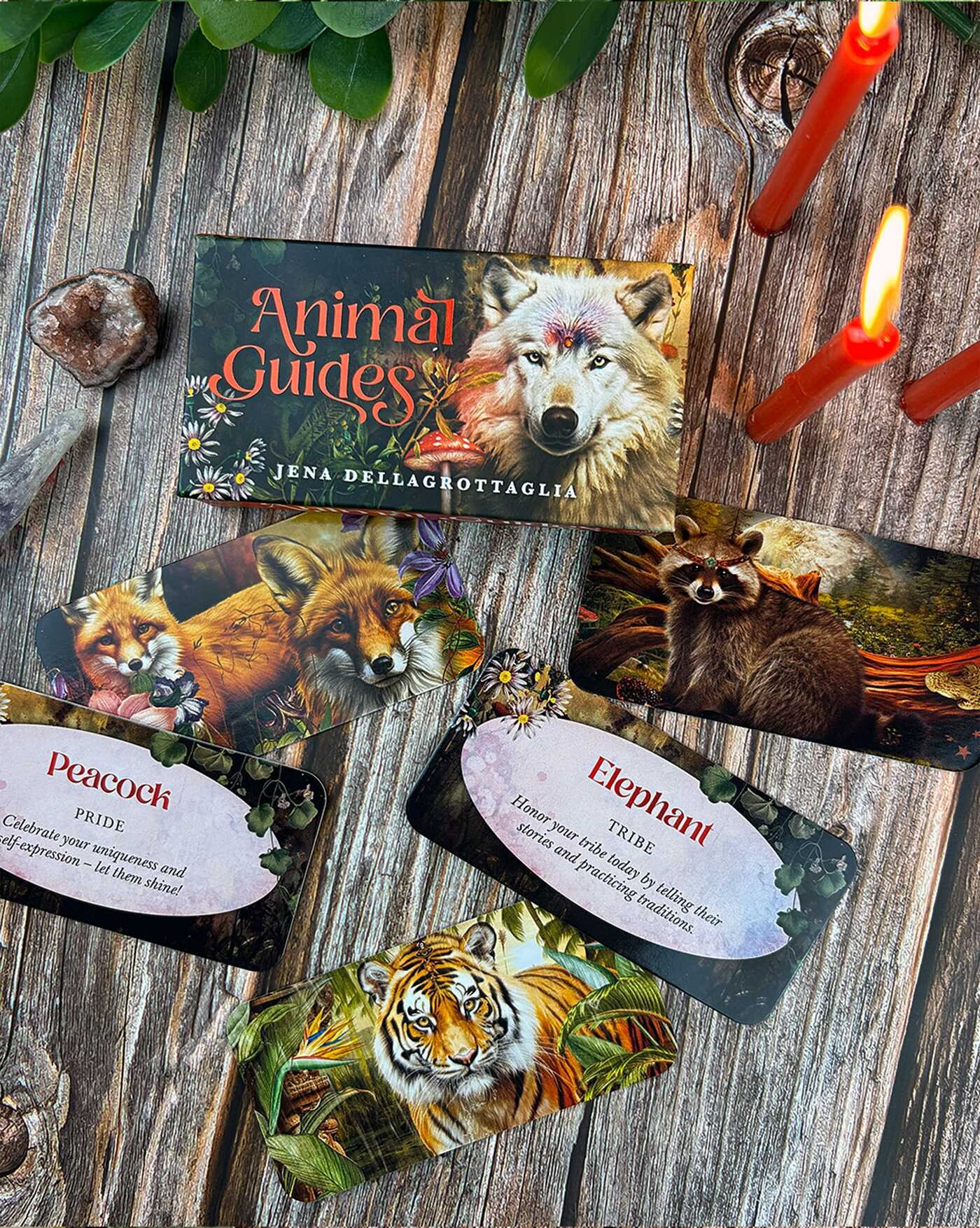 Animal Guides