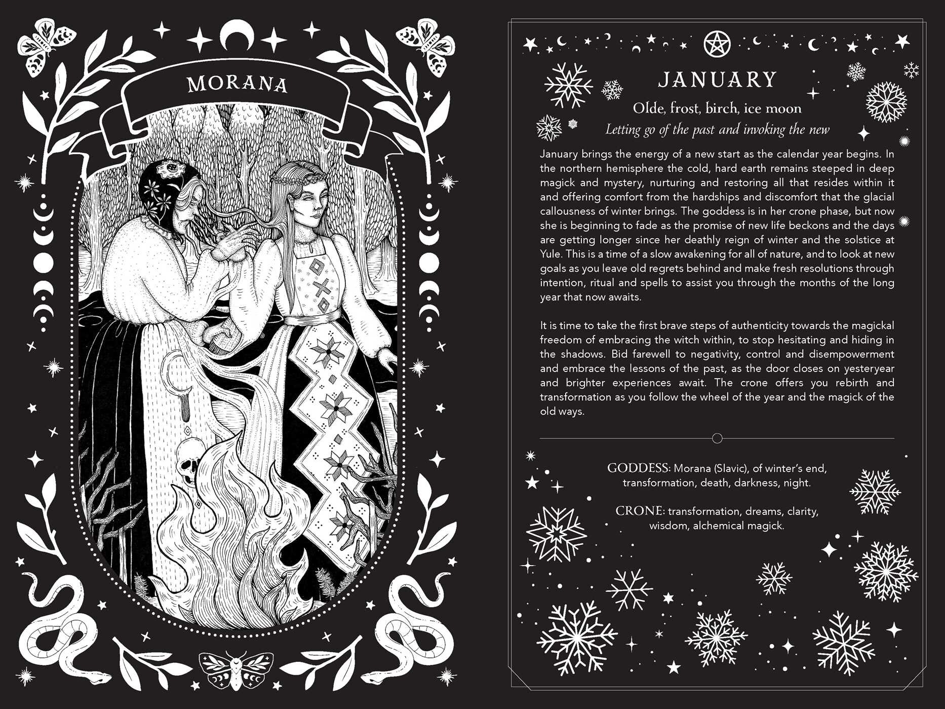 2027 Witch's Diary and Planner Calendar - Northern Hemisphere