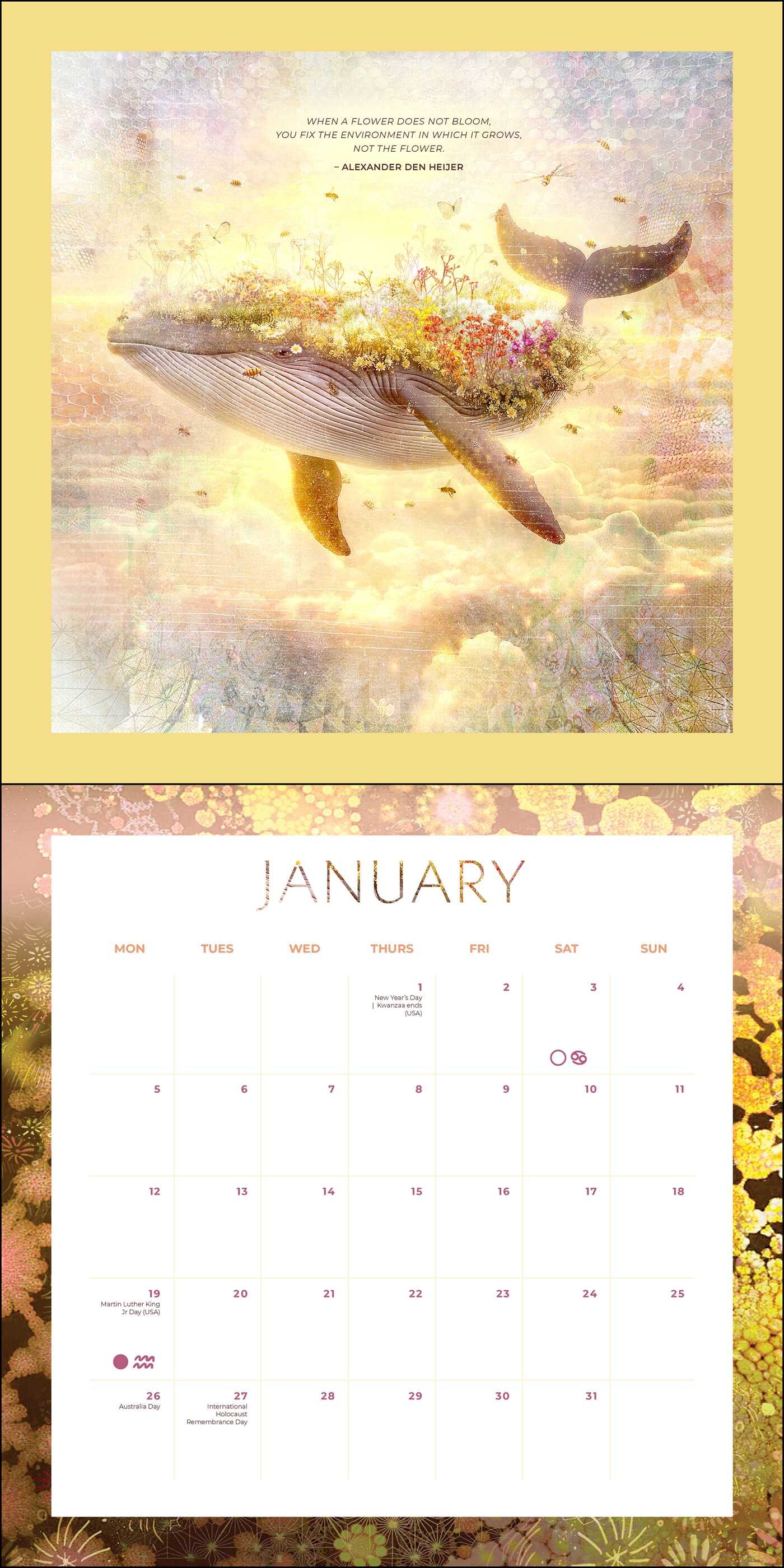 2026 Moon Wall Calendar Book Summary & Video Official Publisher