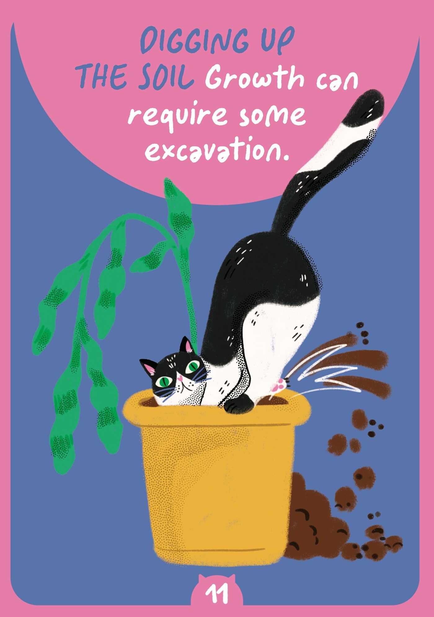 Cat Wisdom Oracle