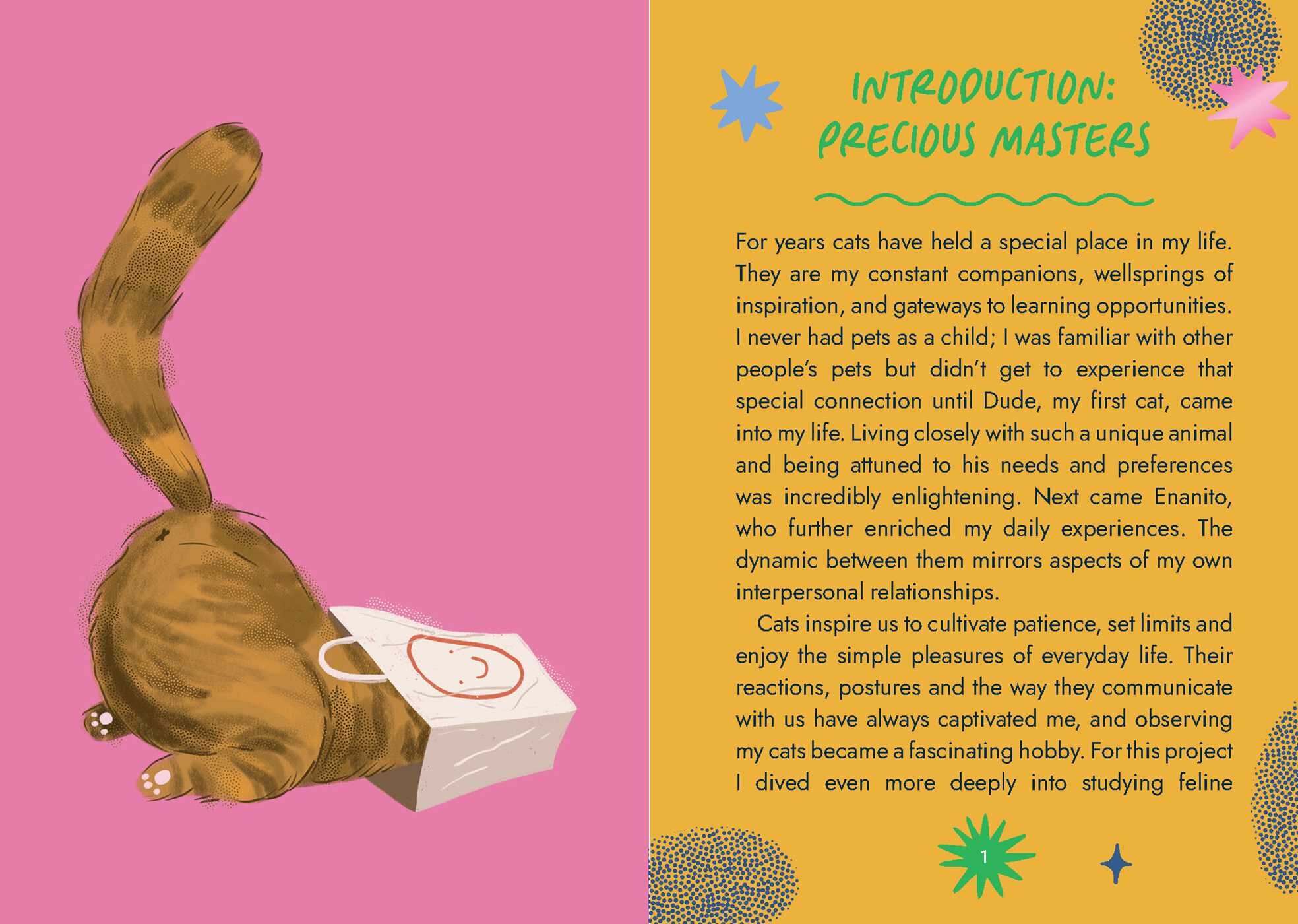 Cat Wisdom Oracle