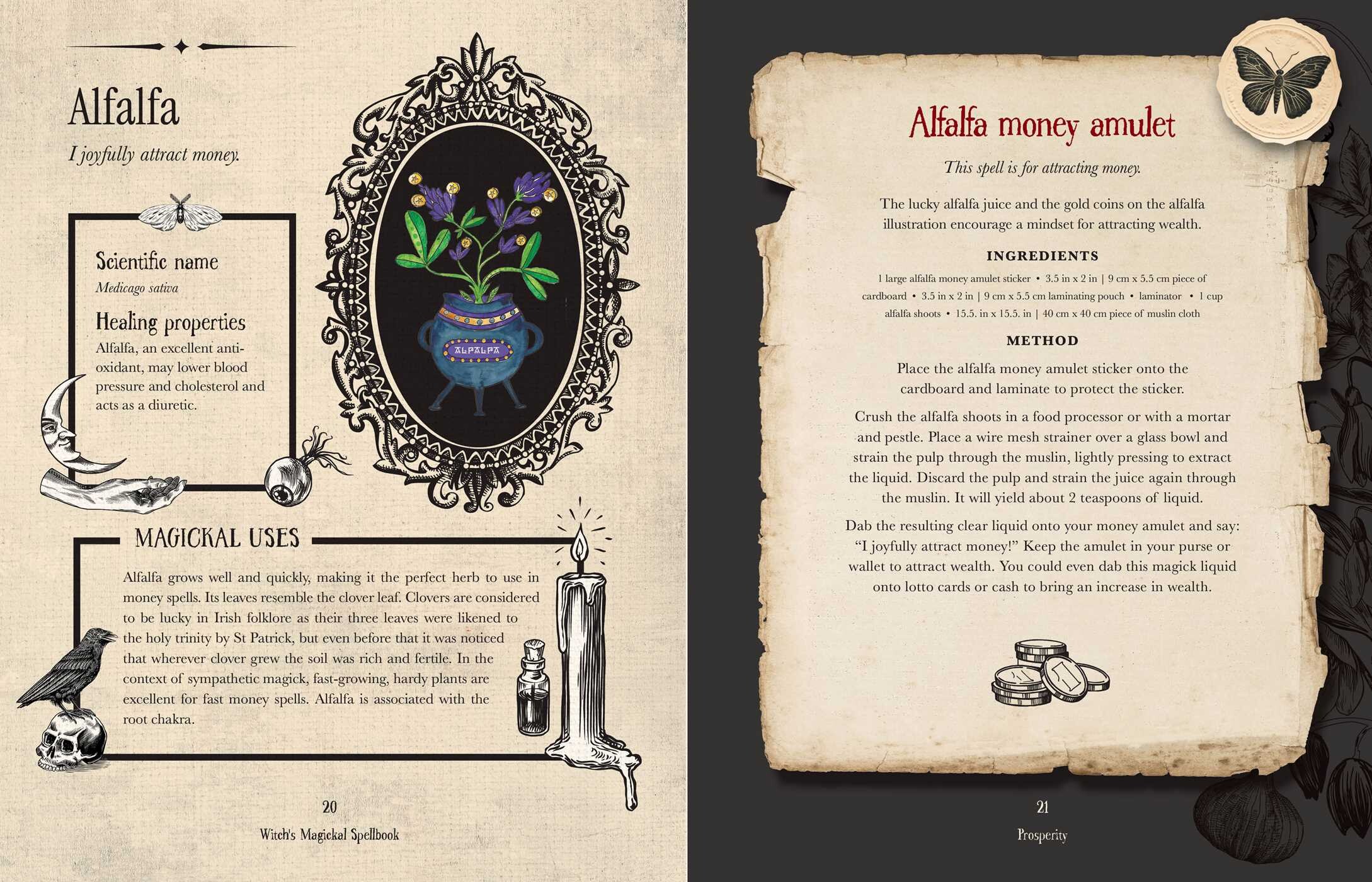 Witch's Magickal Spellbook