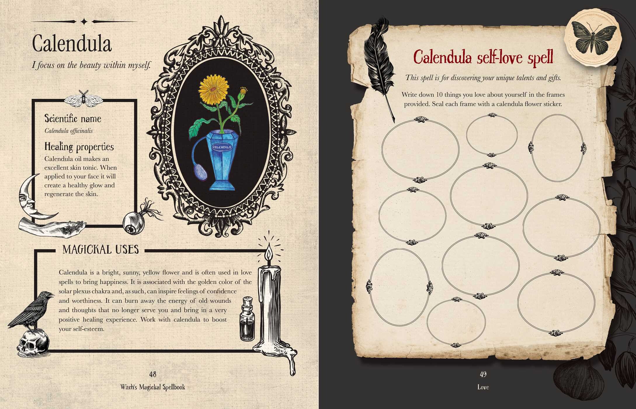 Witch's Magickal Spellbook