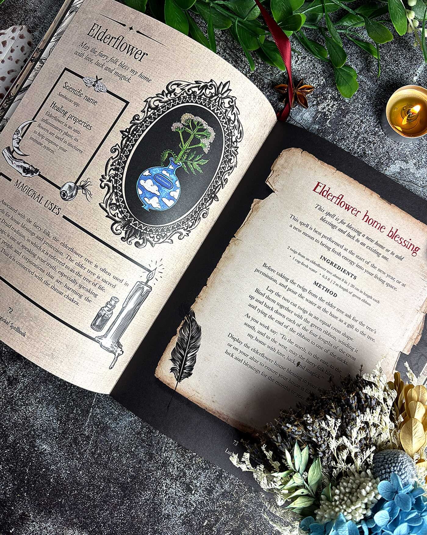 Witch's Magickal Spellbook
