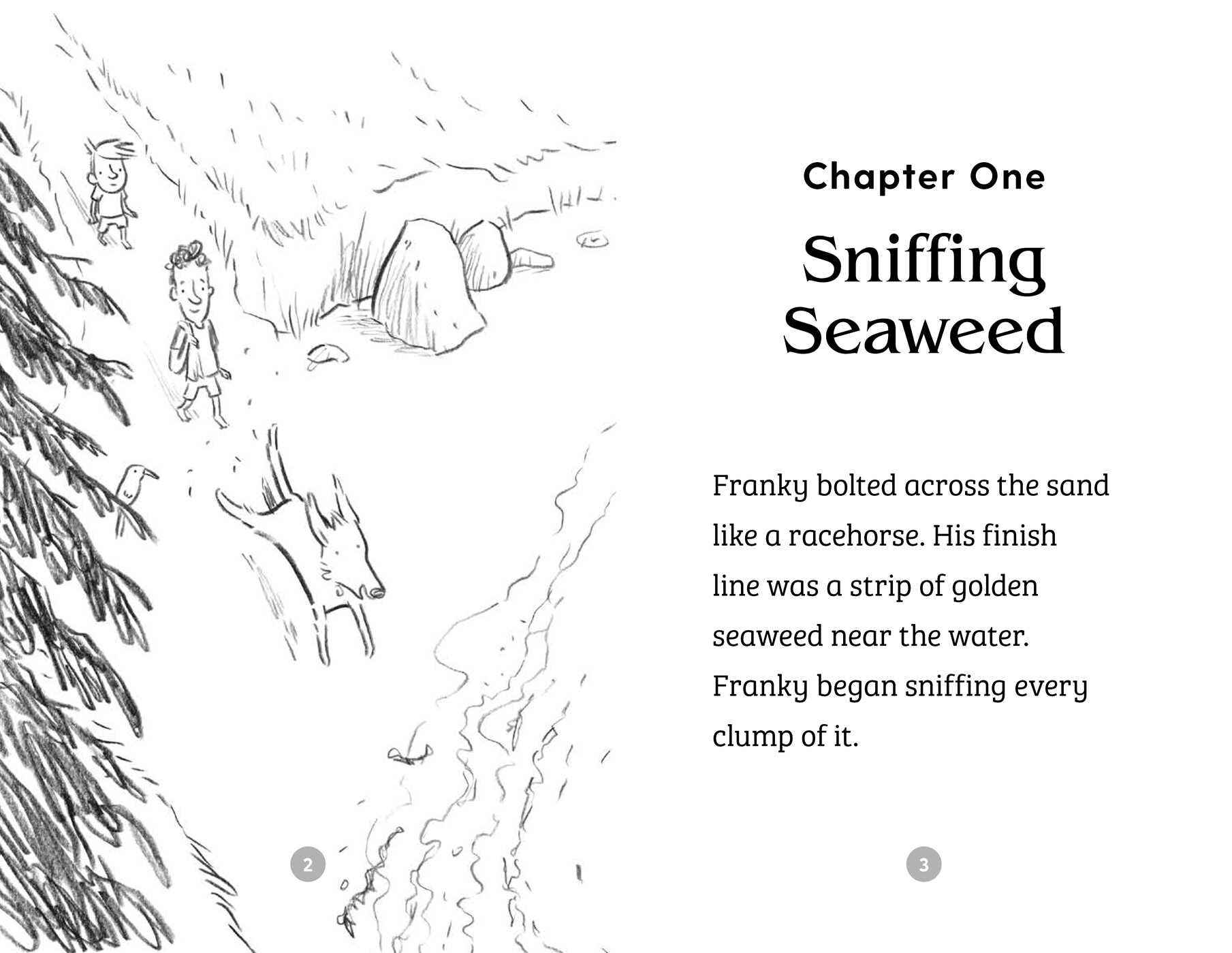 Your Next Read Silver: Dragon Beach