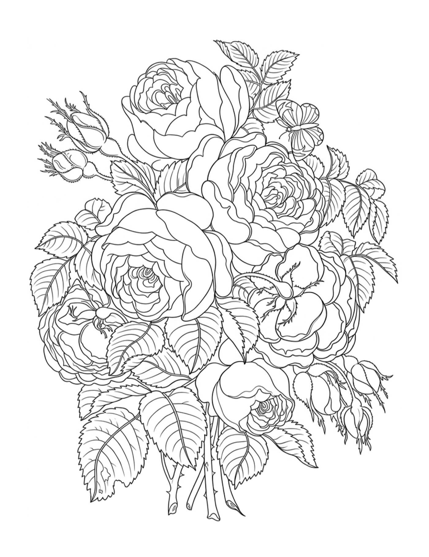 Color-Your-Own Botanical Cards
