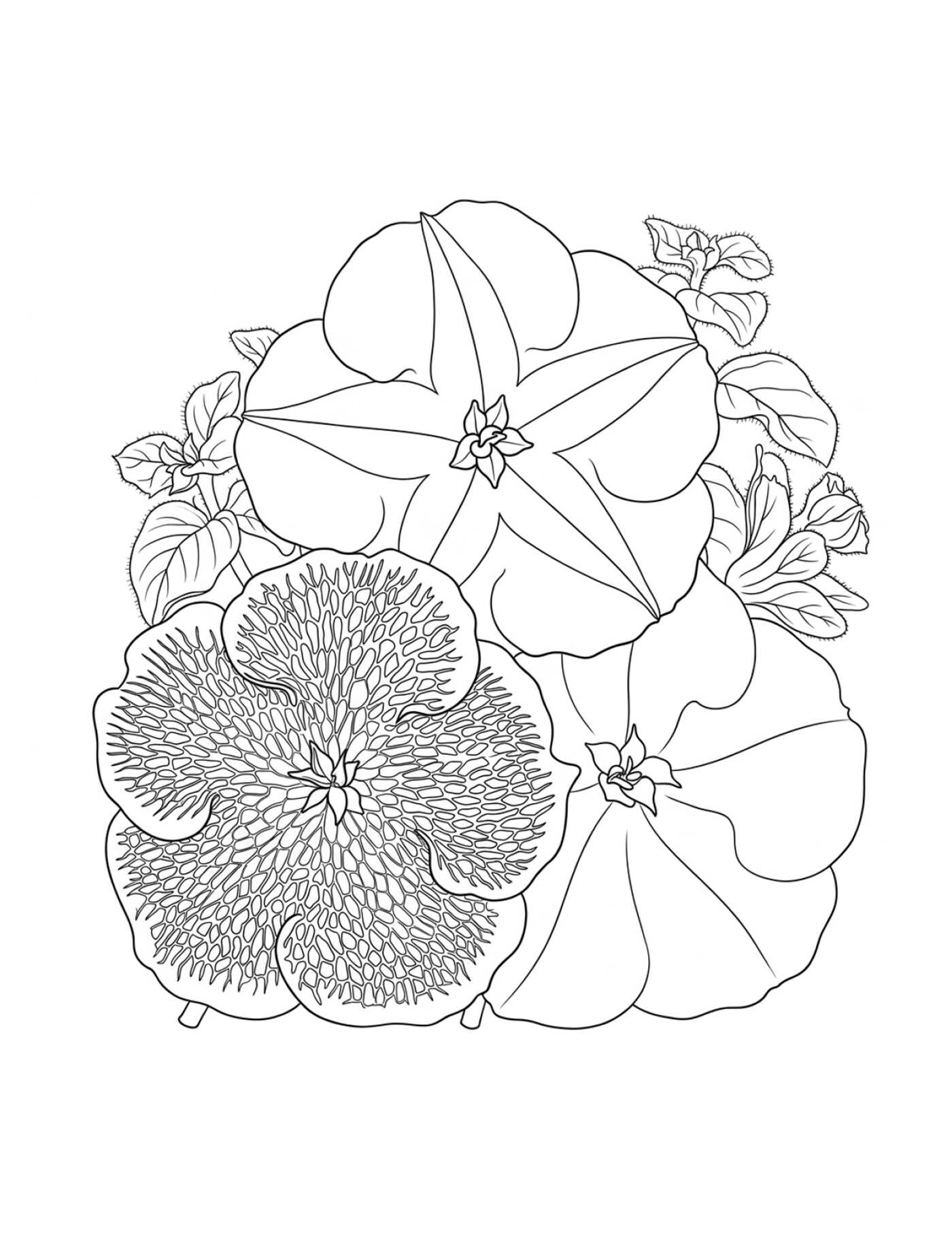 Color-Your-Own Botanical Cards