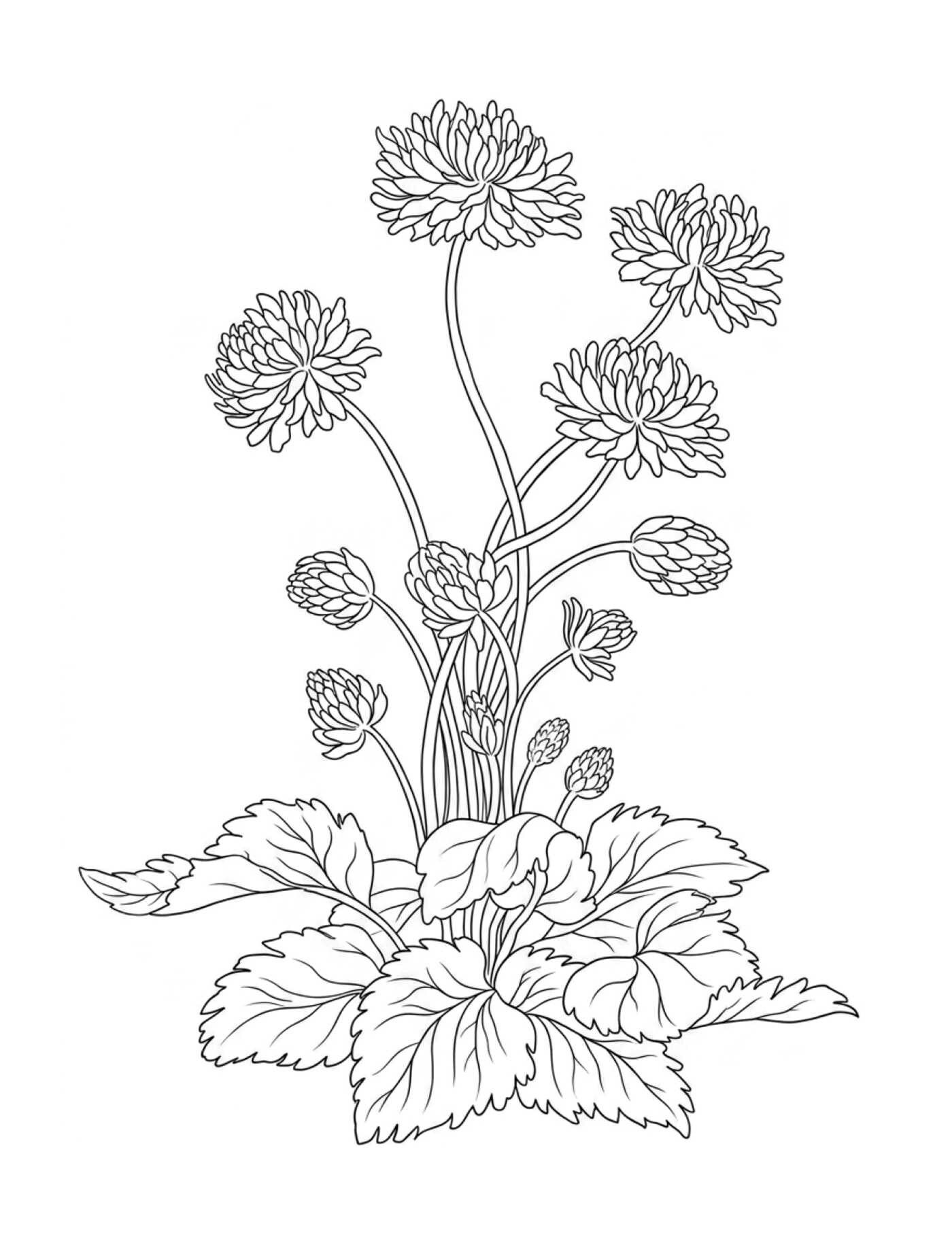 Color-Your-Own Botanical Cards