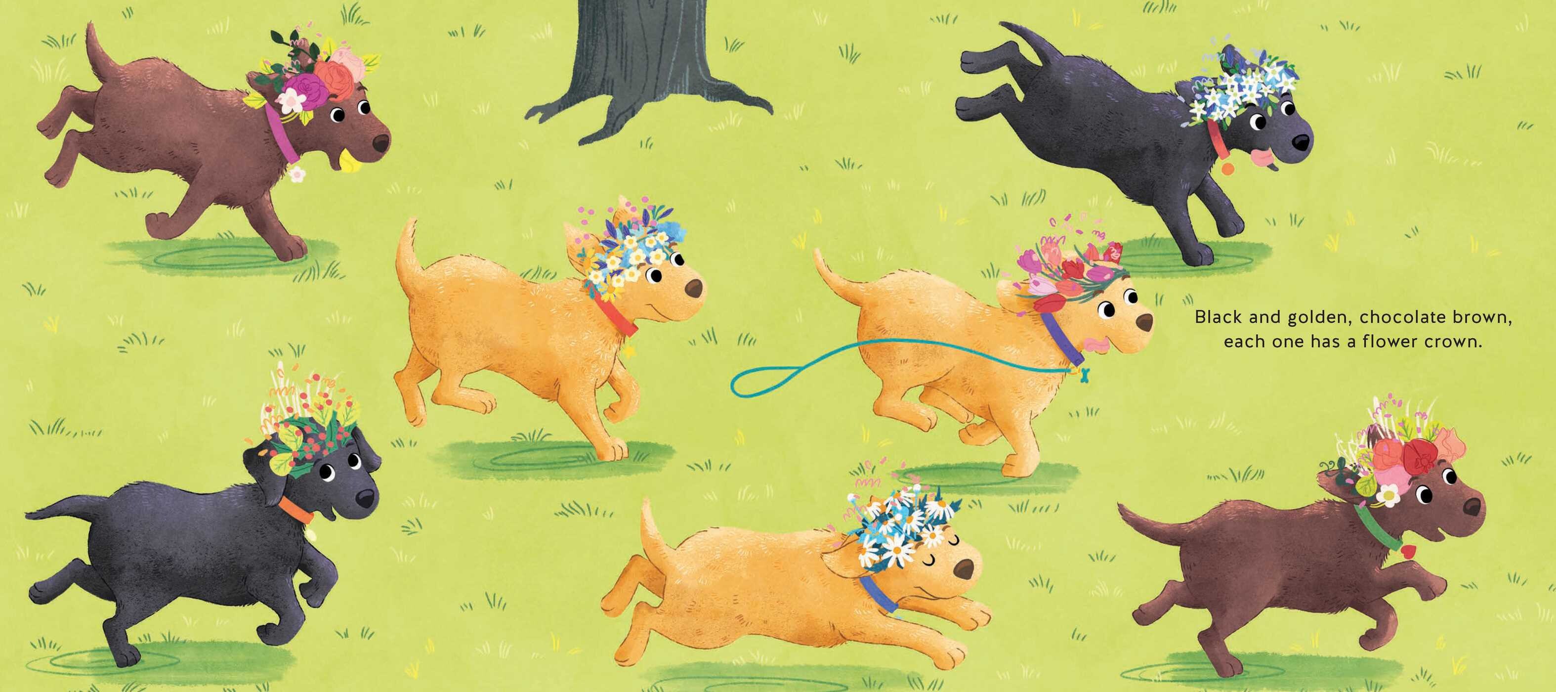 Flower Power Labradors