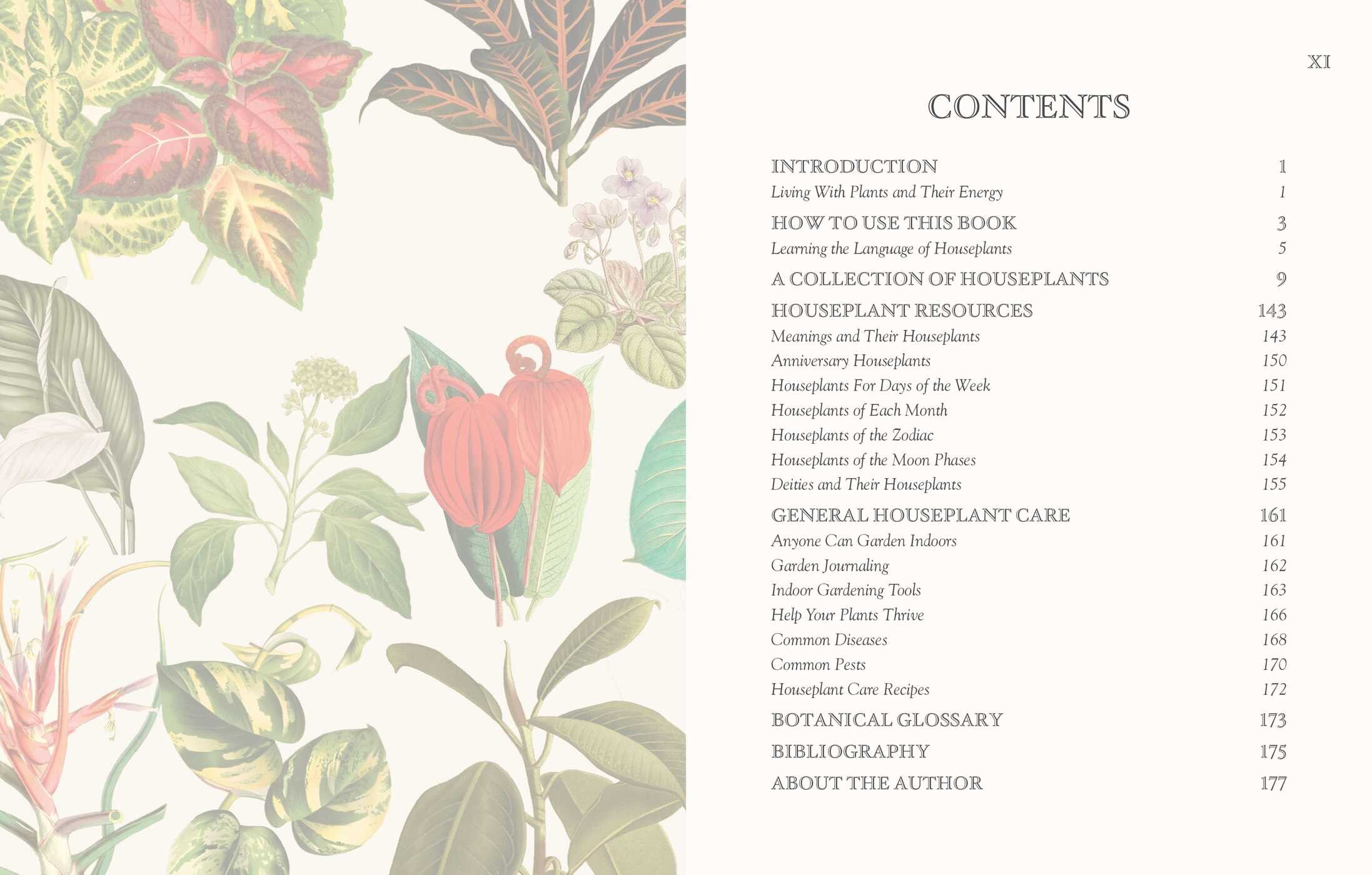Language of Houseplants