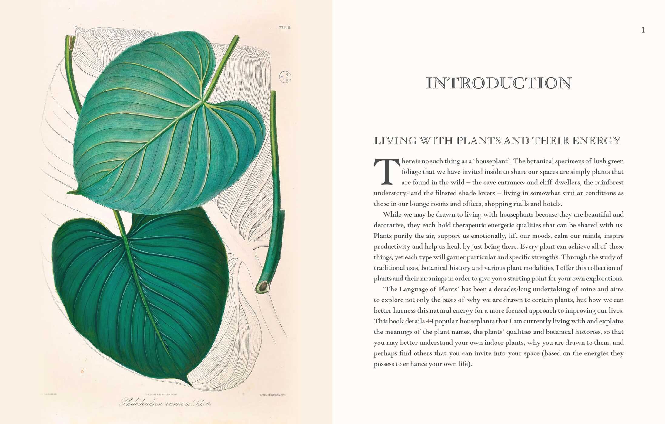 Language of Houseplants