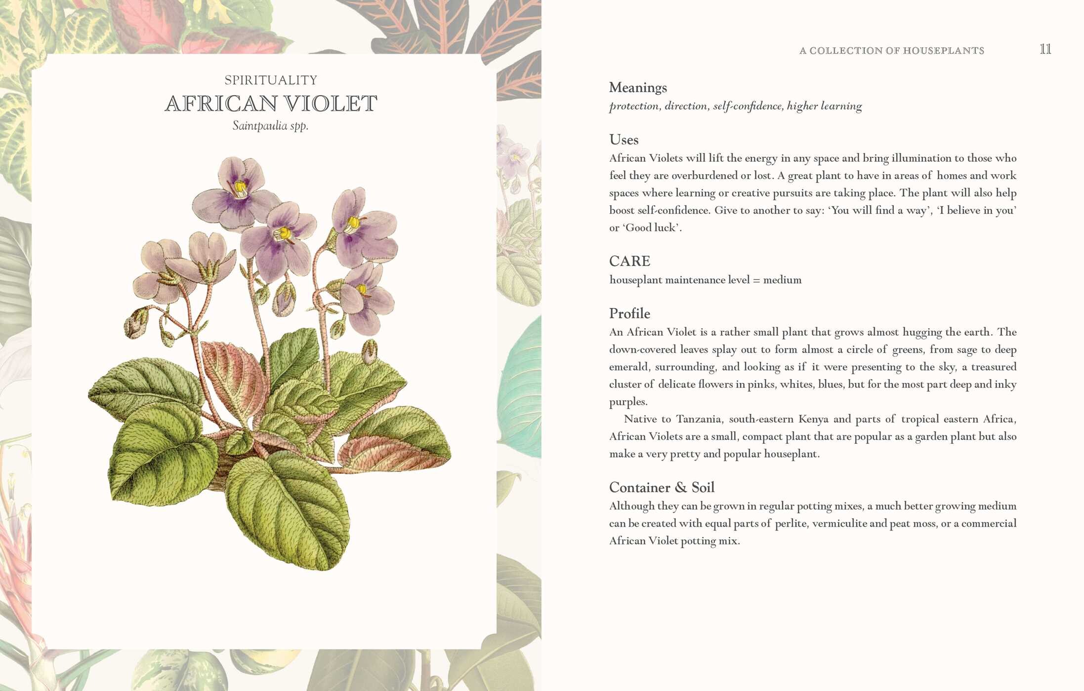Language of Houseplants
