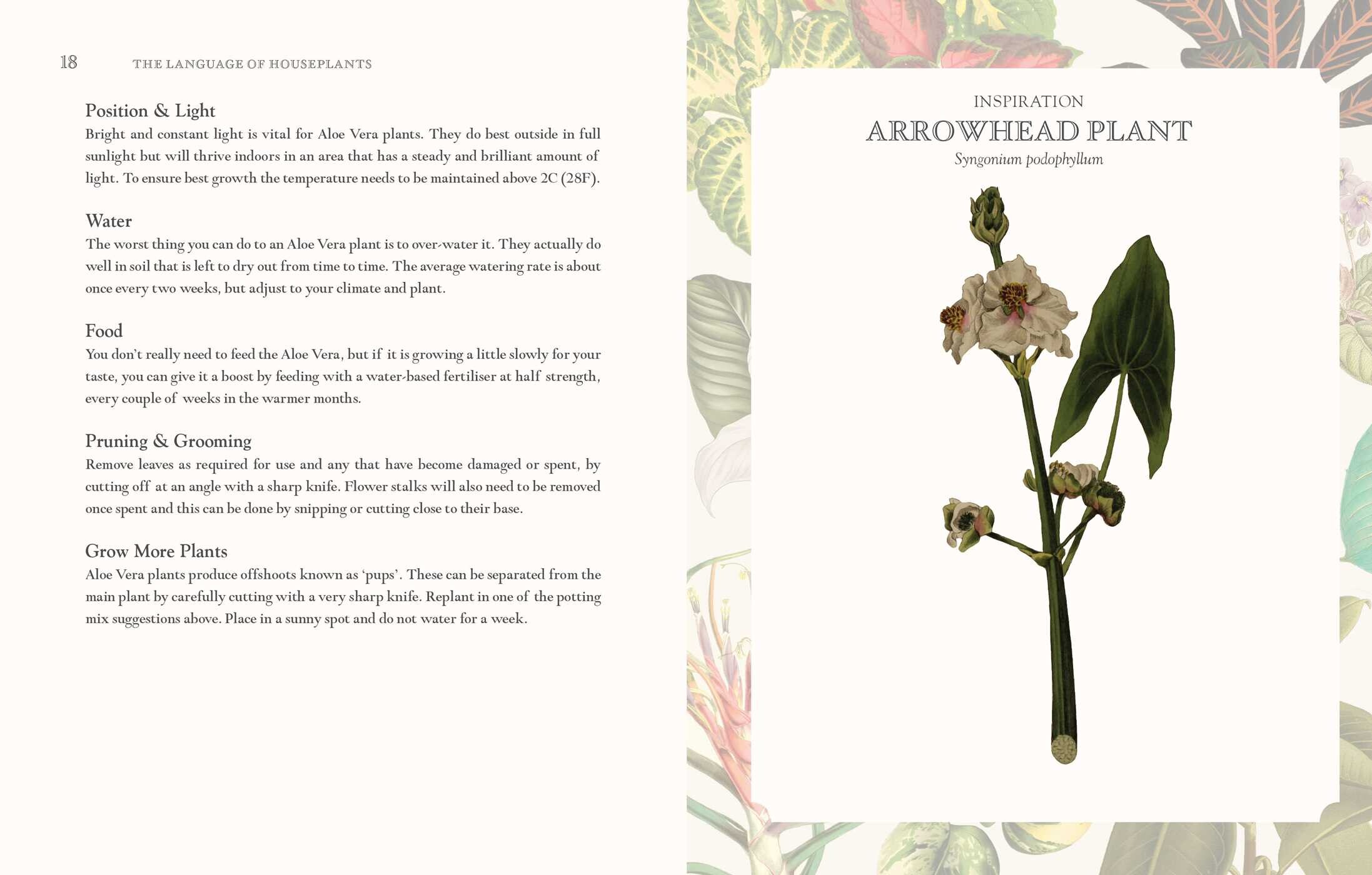Language of Houseplants