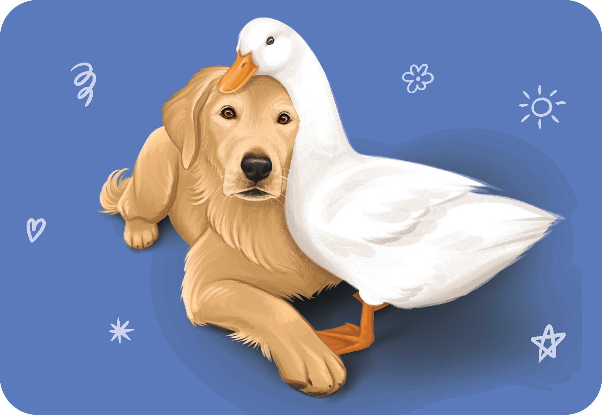 Unusual Animal Friendships