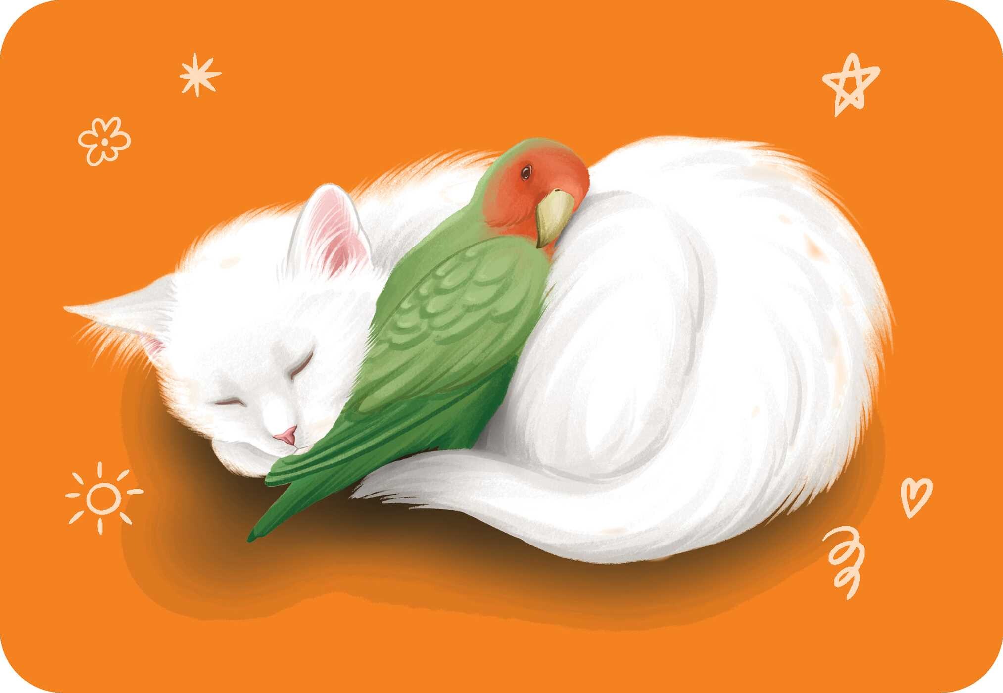 Unusual Animal Friendships