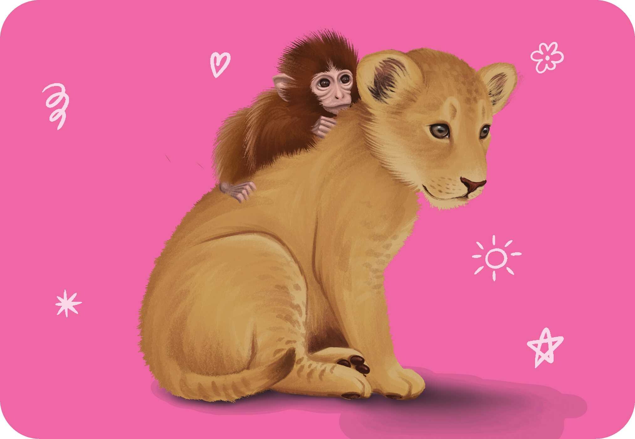 Unusual Animal Friendships